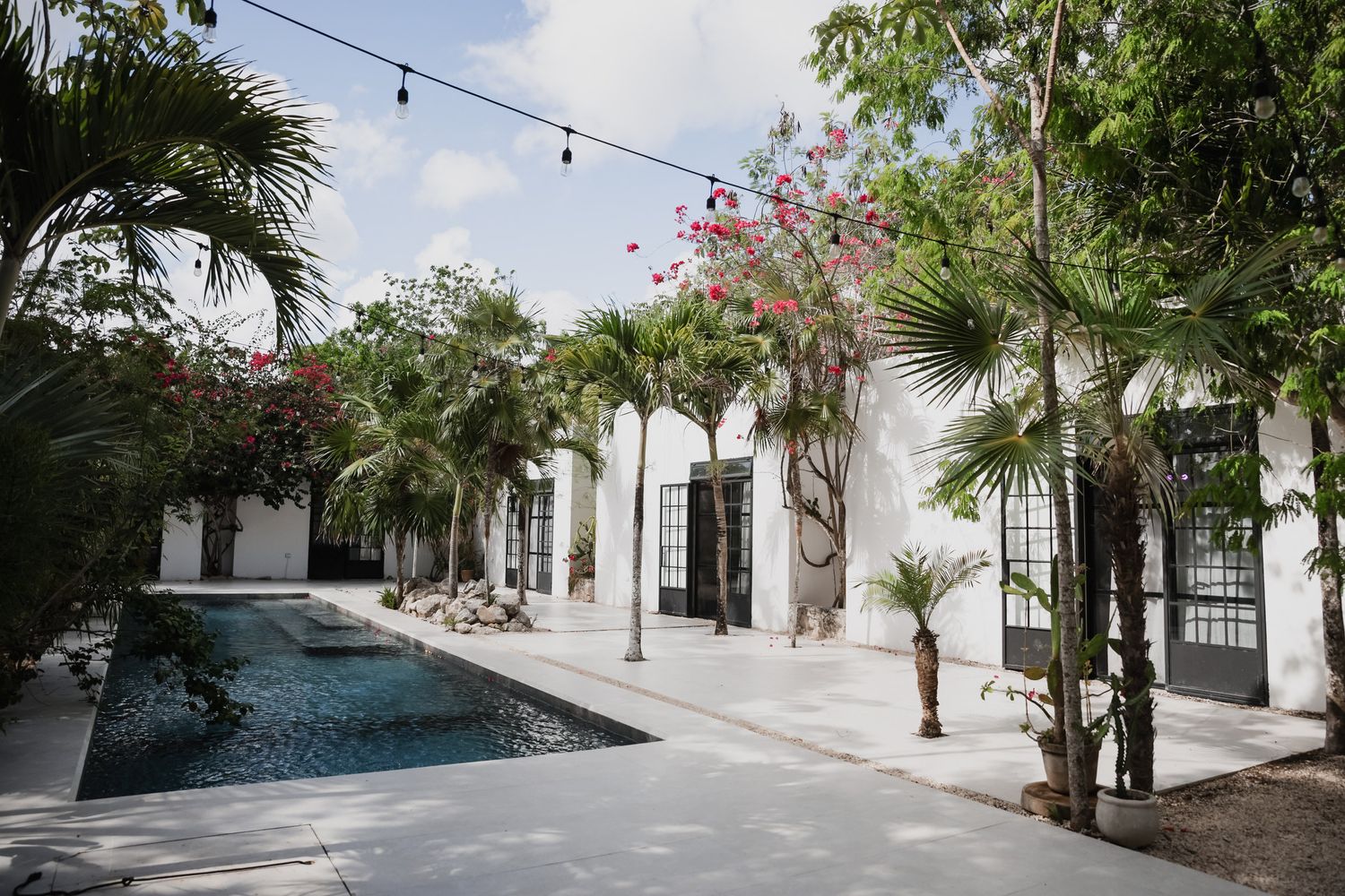Elegant outdoor pool surrounded by palm trees and white walls with pink bougainvillea at a tropical resort.