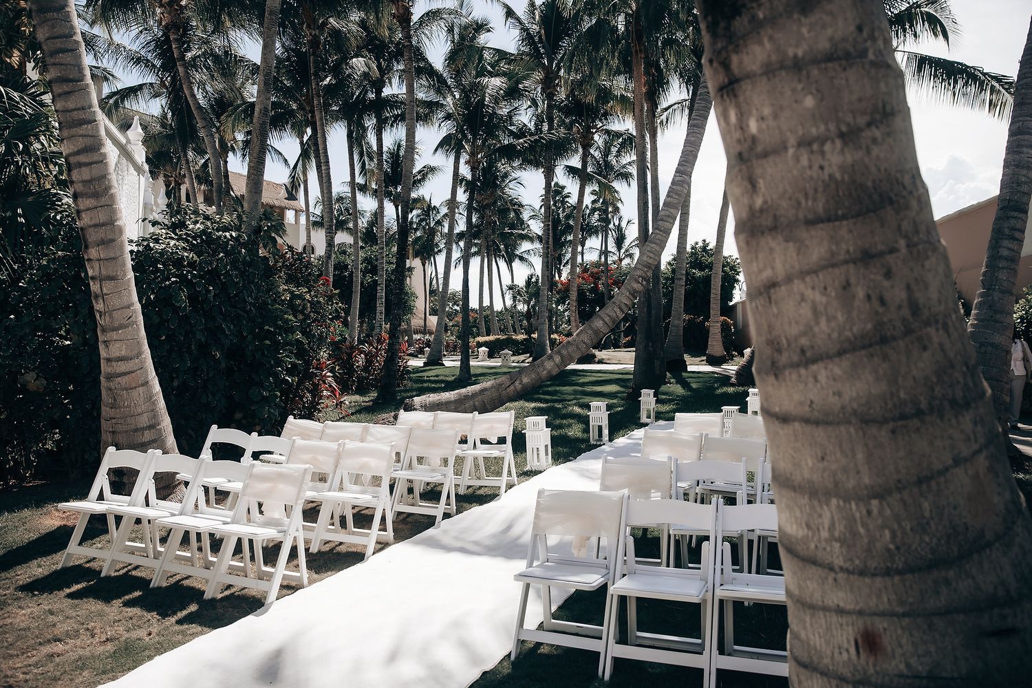 An image of an outdoor tropical resort with palm trees and seating areas.