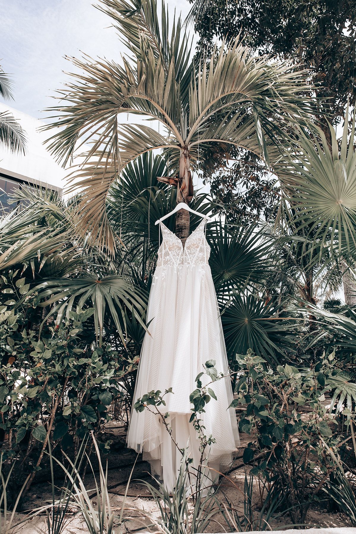 A white wedding dress hangs elegantly against a backdrop of lush tropical palm trees and greenery in a garden setting.