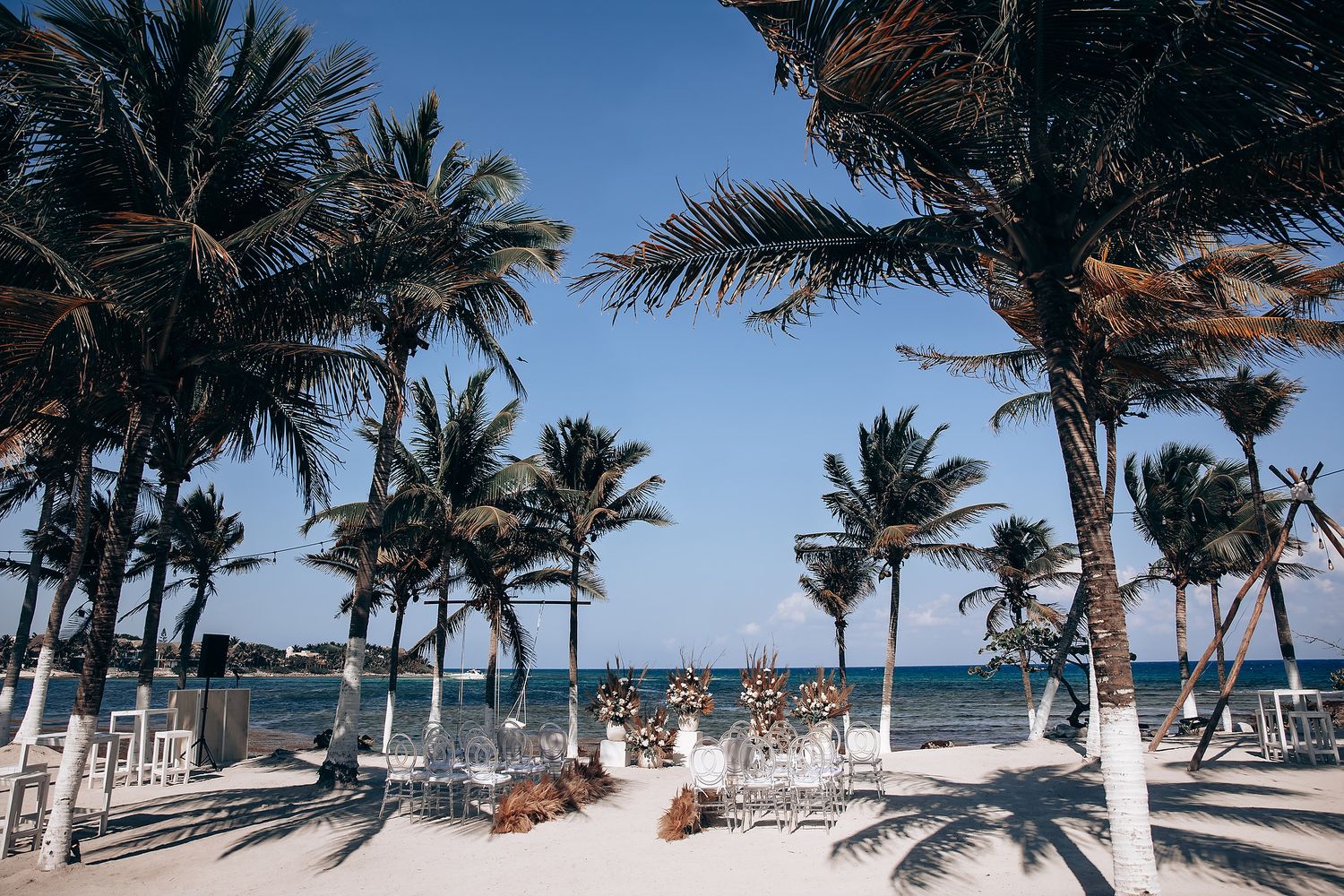 Panoramic view of palm trees lining a pristine white sand beach with crystal clear turquoise ocean waters.