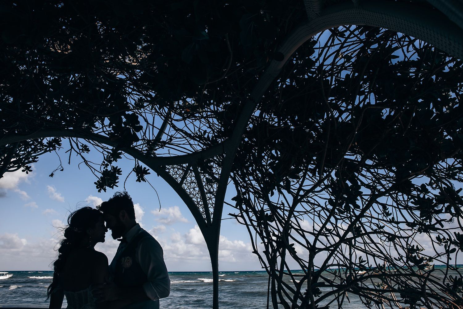 Silhouettes of trees frame an ocean view at sunset during a beach wedding.
