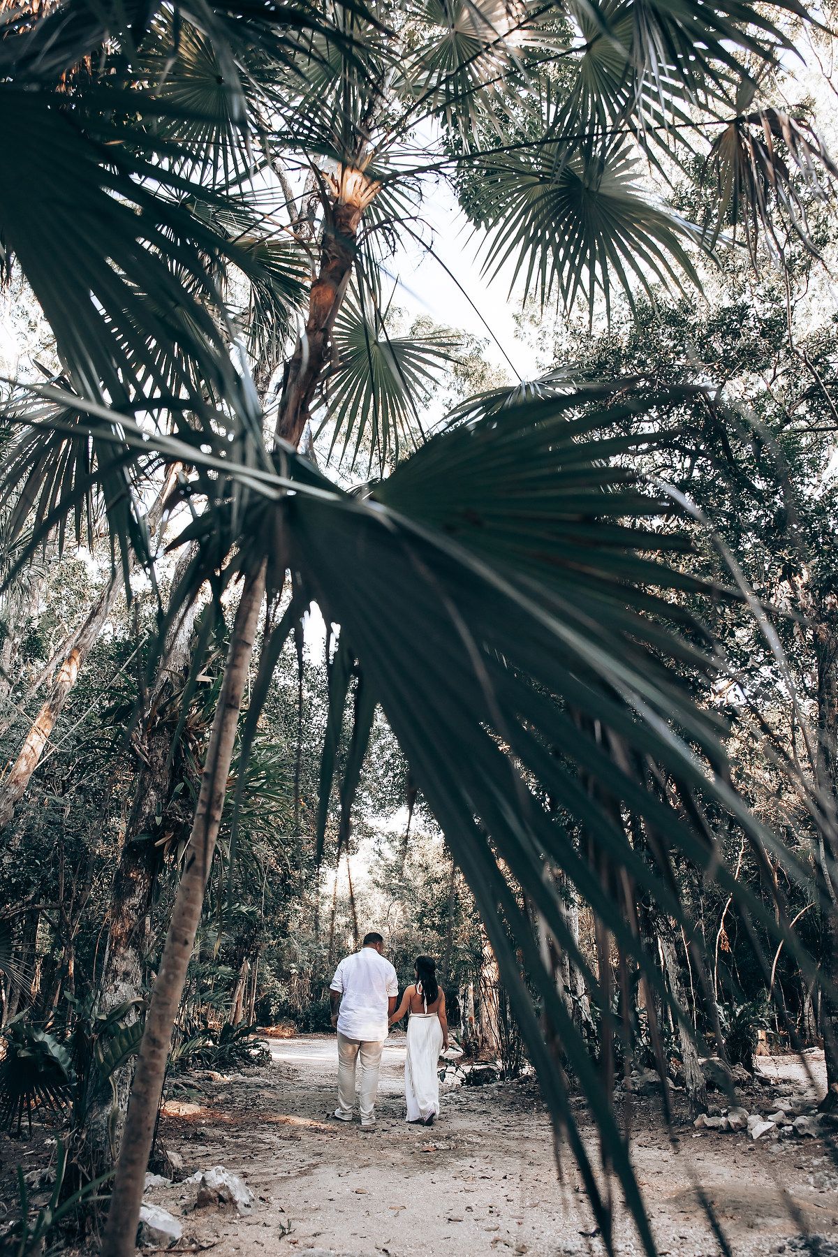A person in white clothing walks along a shaded path surrounded by tropical palm trees and foliage.