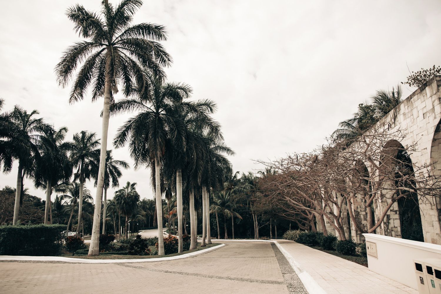 Palm tree-lined pathway with arched architecture at a tropical wedding venue.