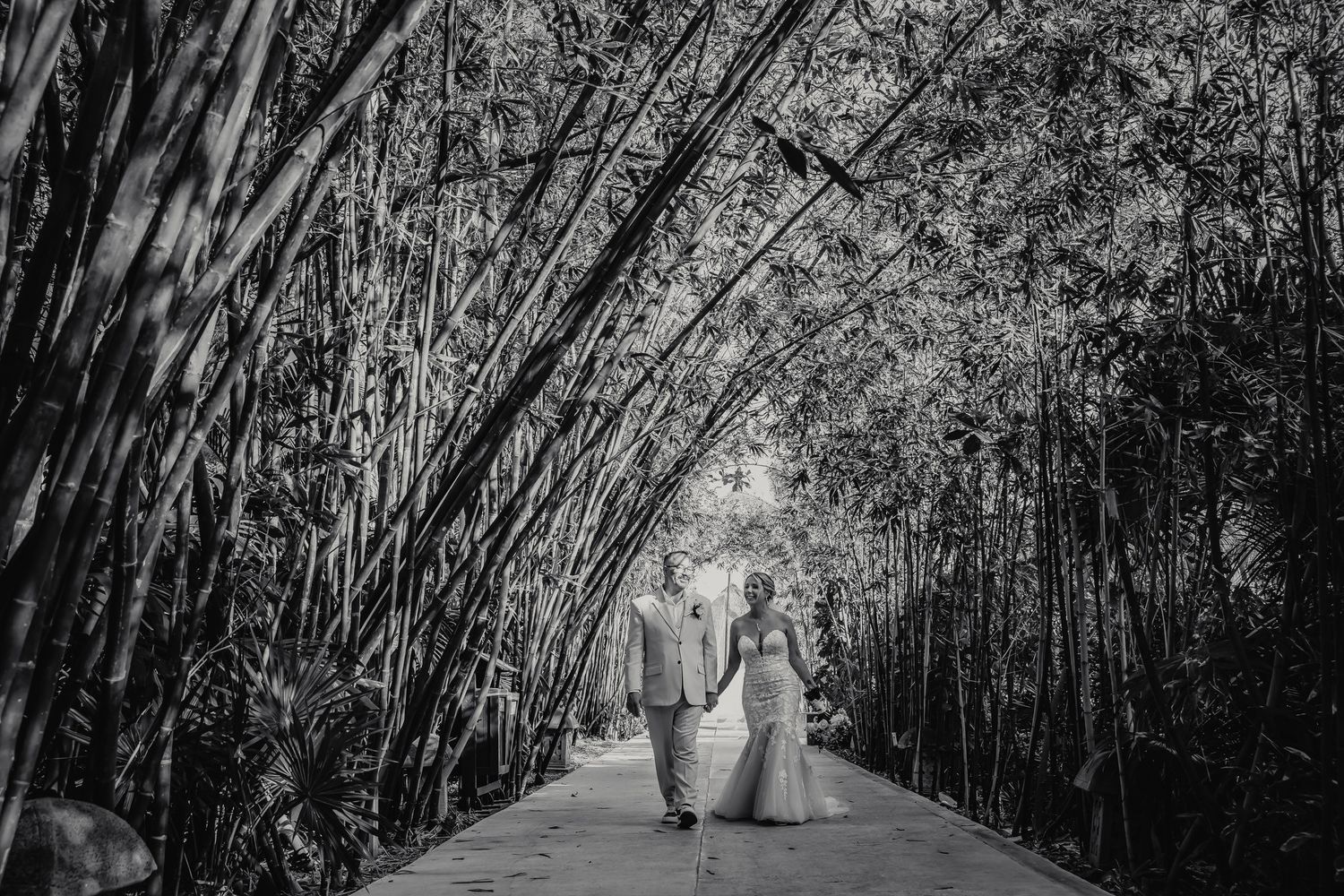 Black and white photo of a bride and groom holding hands walking through a bamboo forest pathway.