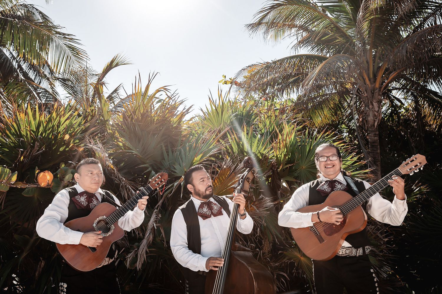 Three mariachi musicians playing guitars and a bass outdoors among tropical palms in formal black and white attire.