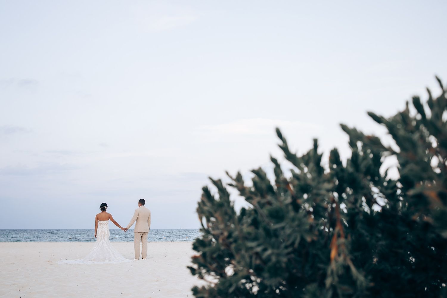 Scenic oceanfront wedding setting with tropical foliage in the foreground.