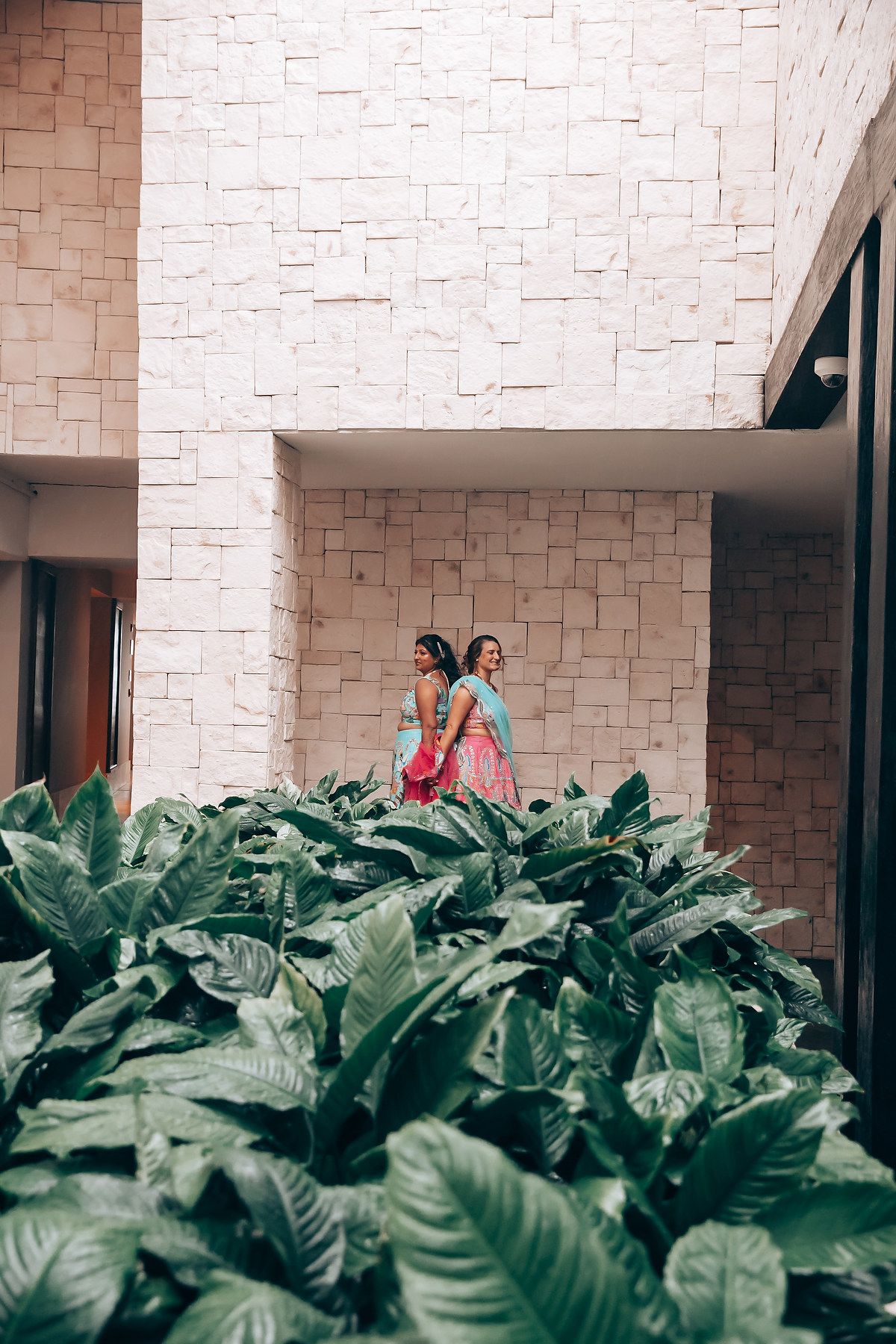 Garden setting with large tropical leaves and stone wall backdrop.