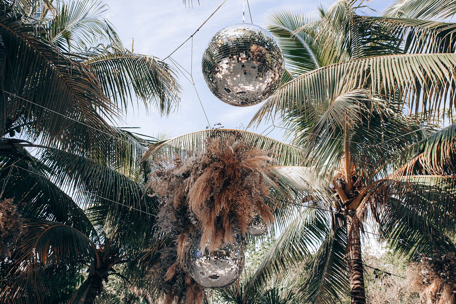 Lush palm trees sway against a bright blue sky with sunlight filtering through their tropical fronds.