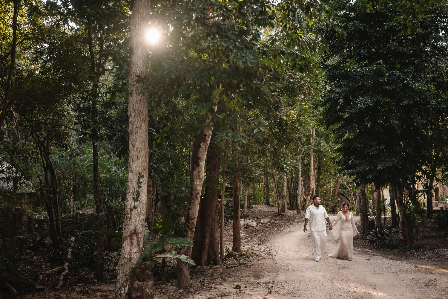 Sunlit forest path with dappled light filtering through the trees.