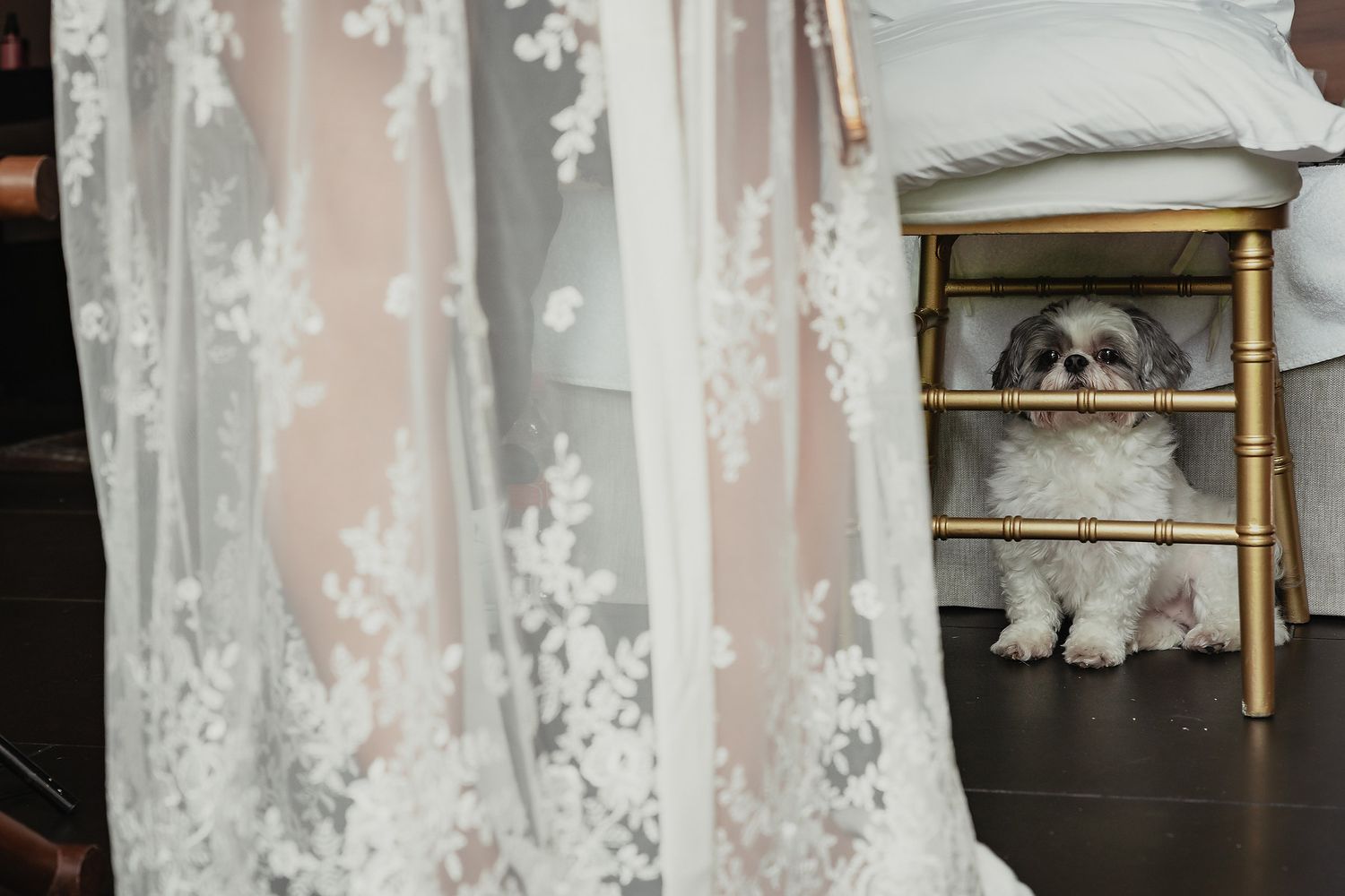 Elegant white lace wedding dress details with delicate floral patterns and sheer fabric hanging on display.