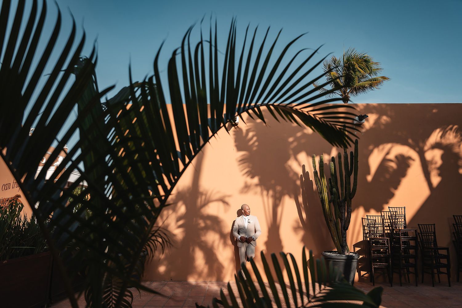 Palm fronds cast dramatic shadows on peach-colored wall under bright blue sky.
