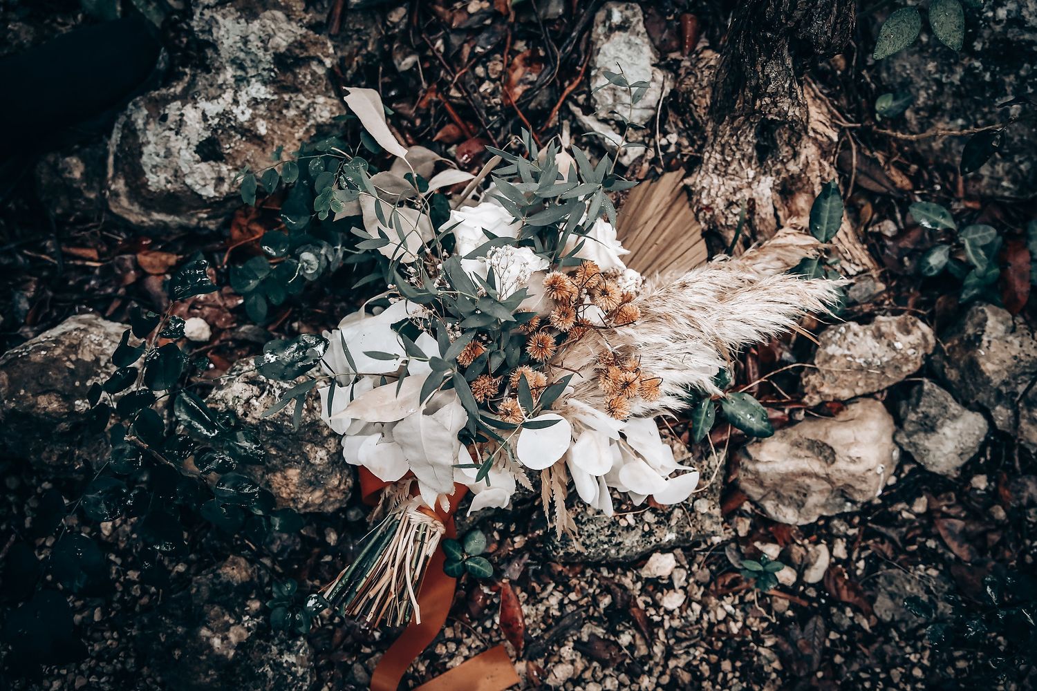 Abstract artistic arrangement of white and natural elements against a dark background.