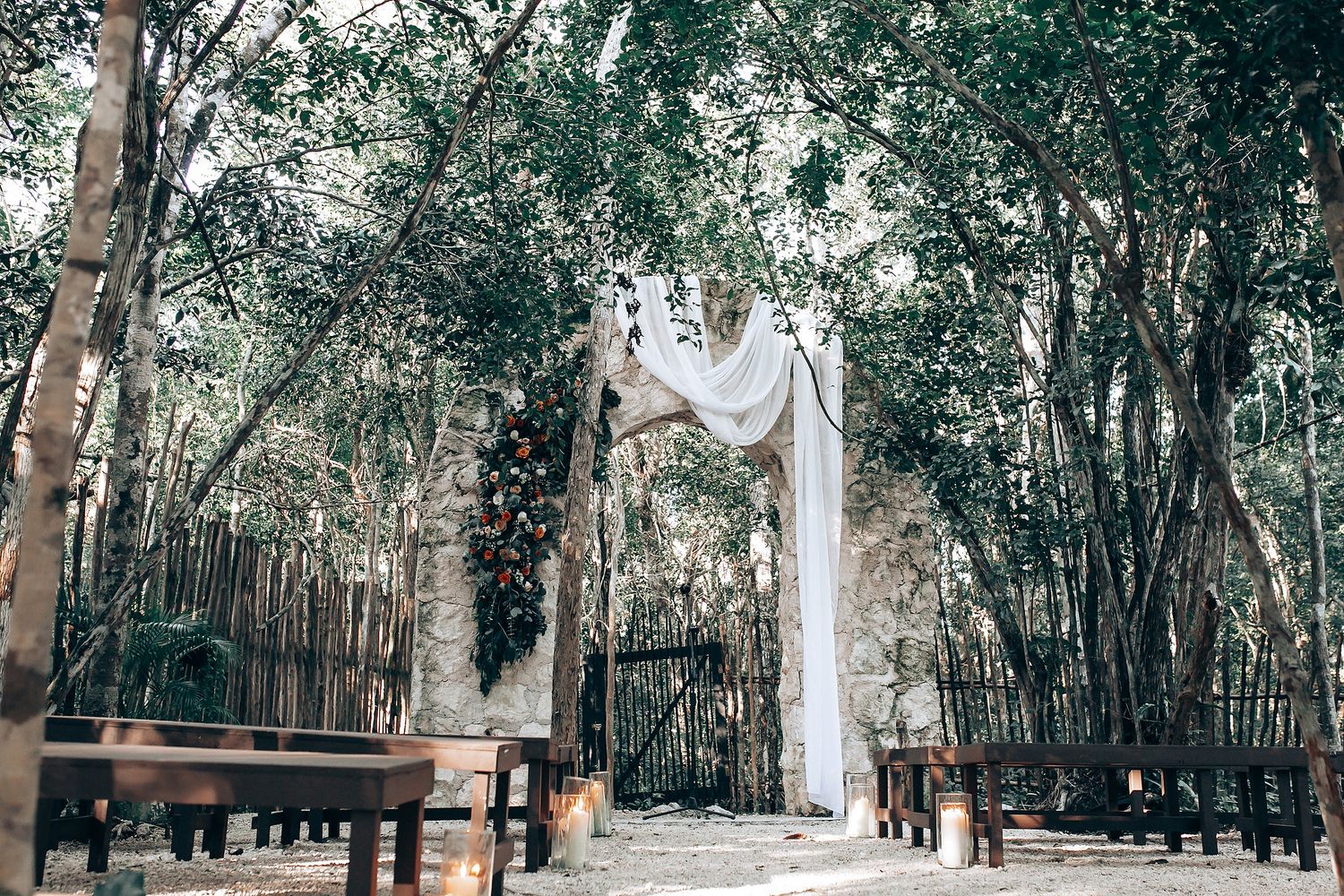 A panoramic view of a wooded path with tall eucalyptus trees and a wooden bench in a tranquil forest setting.