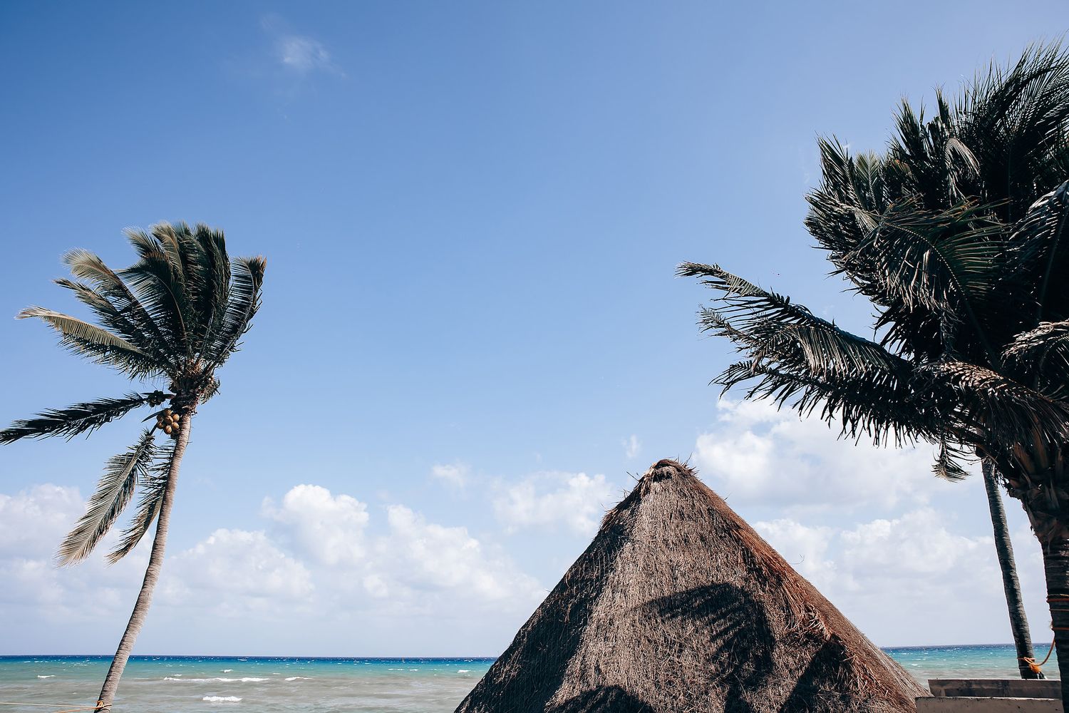 Palm trees line a pristine tropical beach with thatched roof huts and turquoise ocean waters under blue skies.
