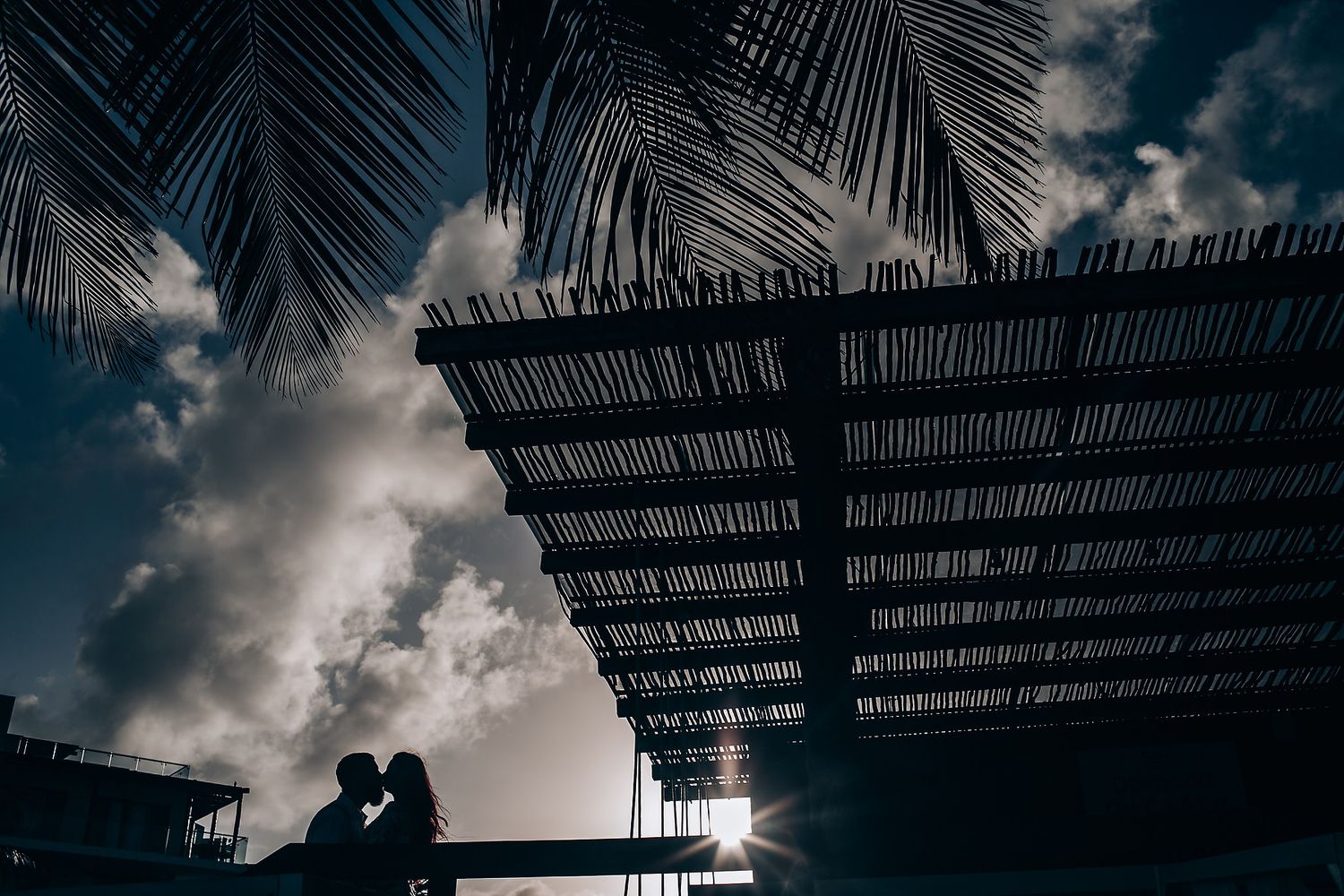 Dramatic silhouette of palm trees against cloudy sky during sunset.