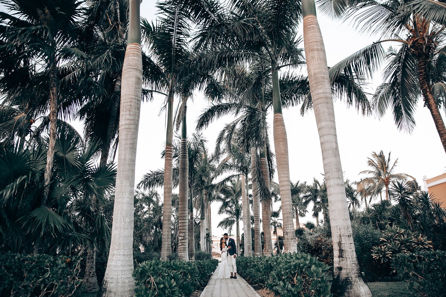 Row of tall palm trees line a tropical wedding venue pathway.