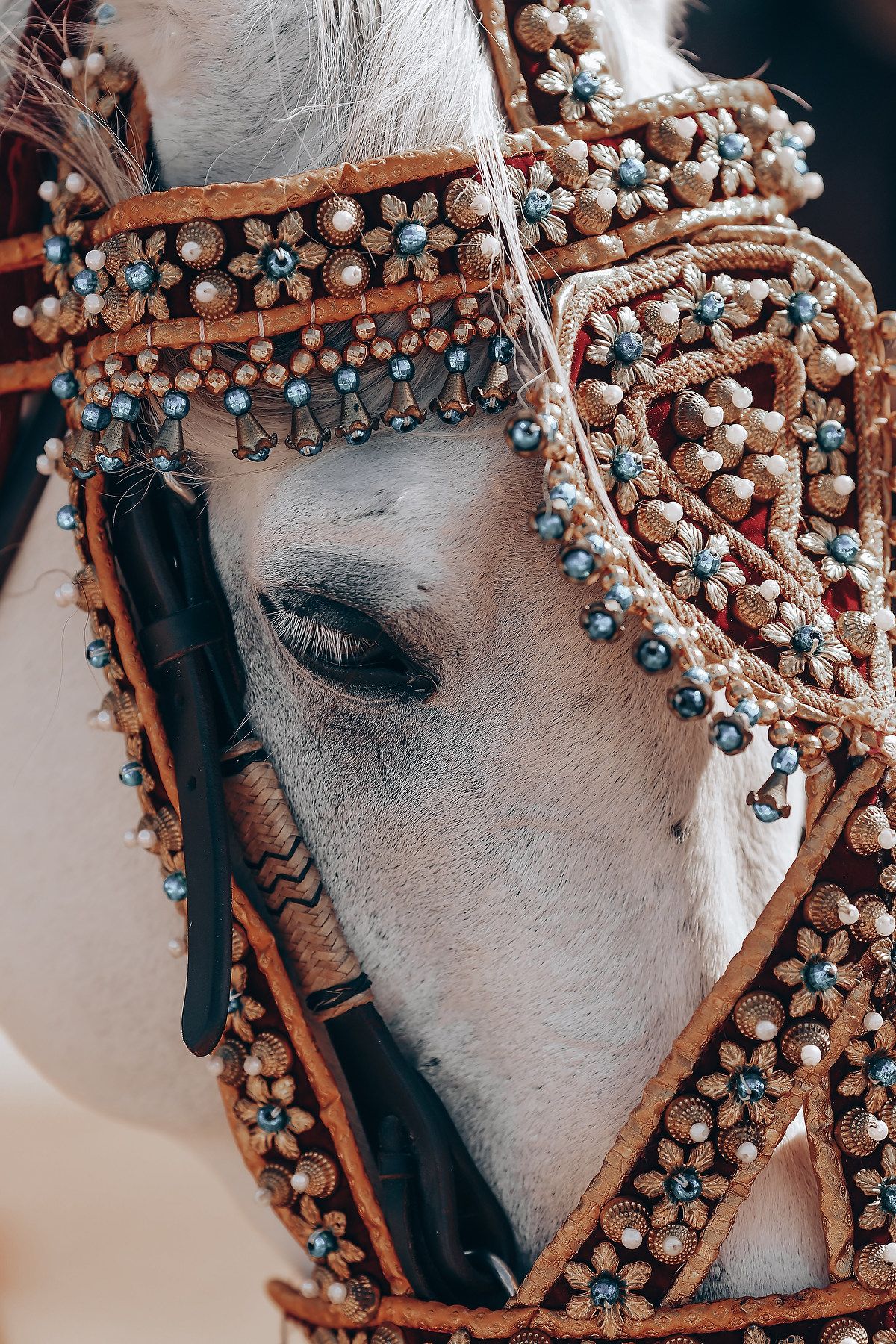 Close-up of a white horse wearing an ornate bridle decorated with metallic beads and crystals.