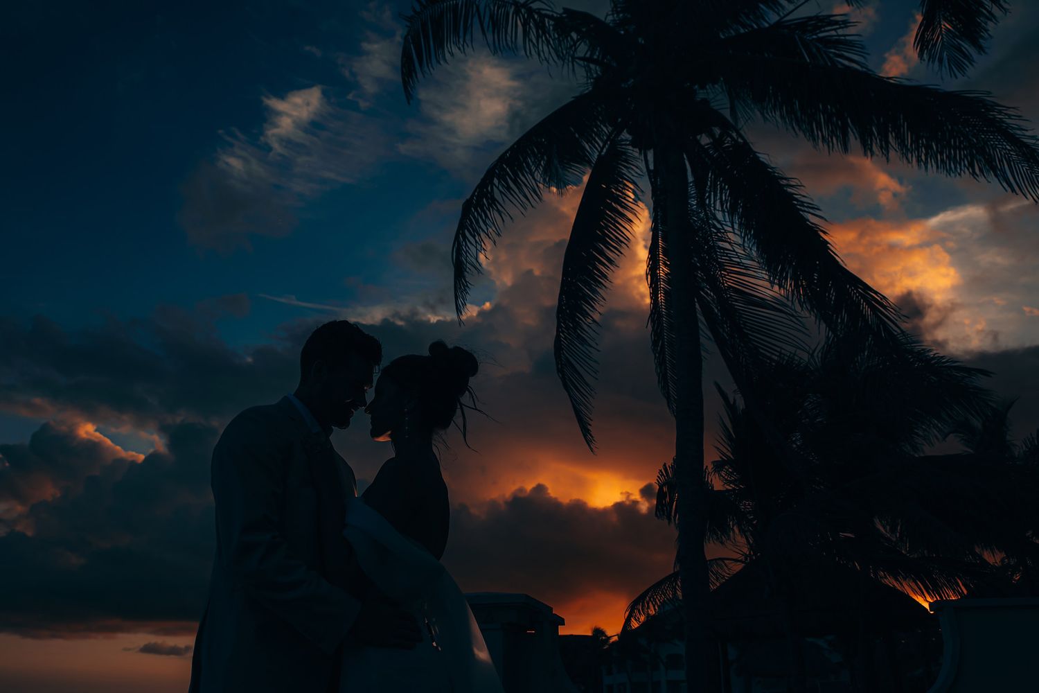 Silhouettes of palm trees against dramatic sunset sky.