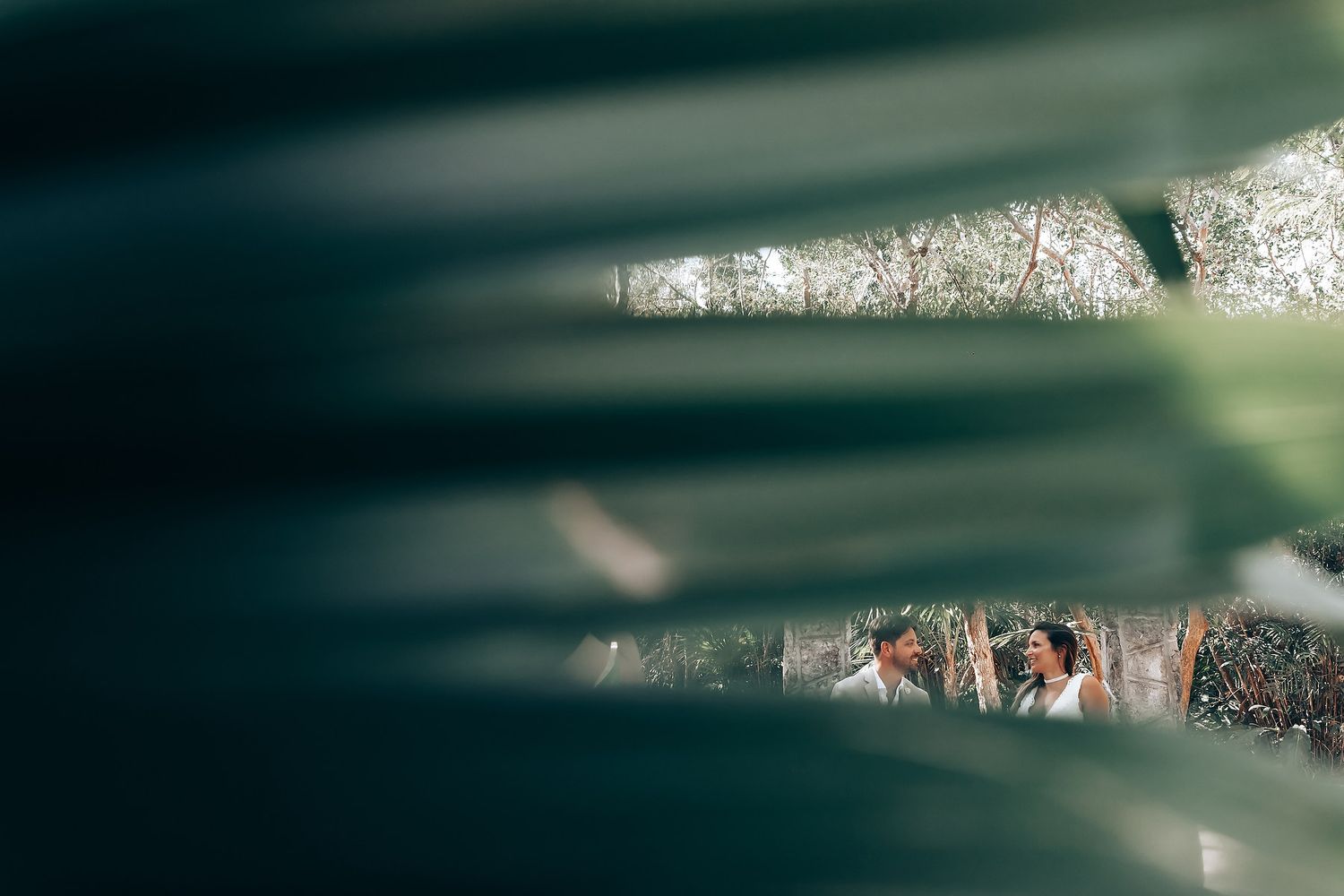 A blurred view through foliage of an outdoor wedding celebration.