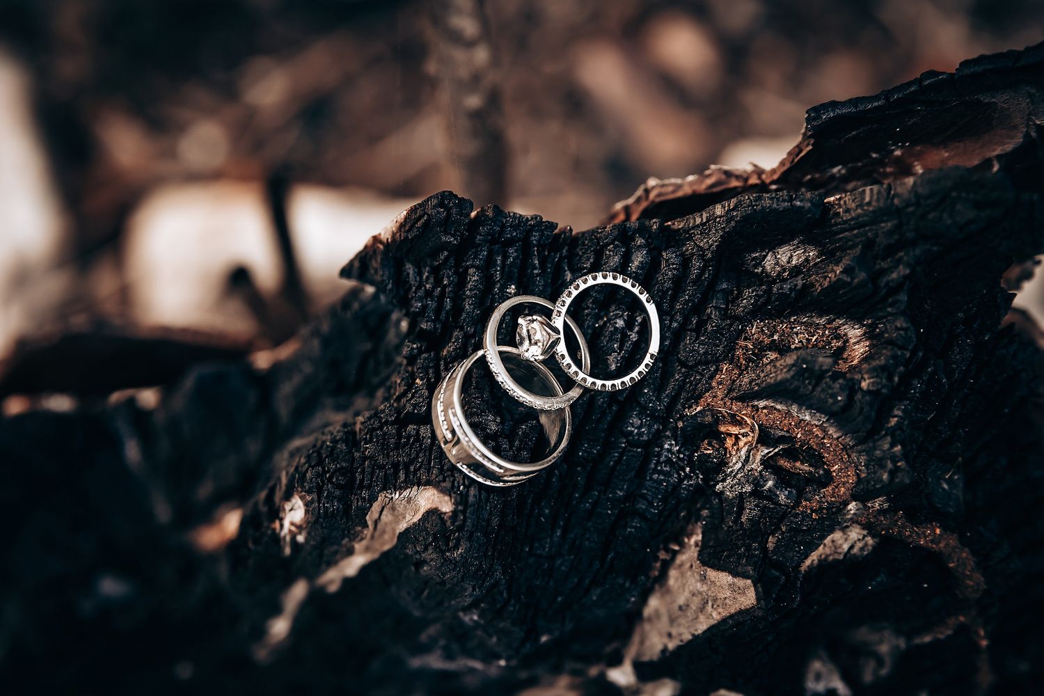 Wedding rings photographed on dark textured wood with artistic lighting.