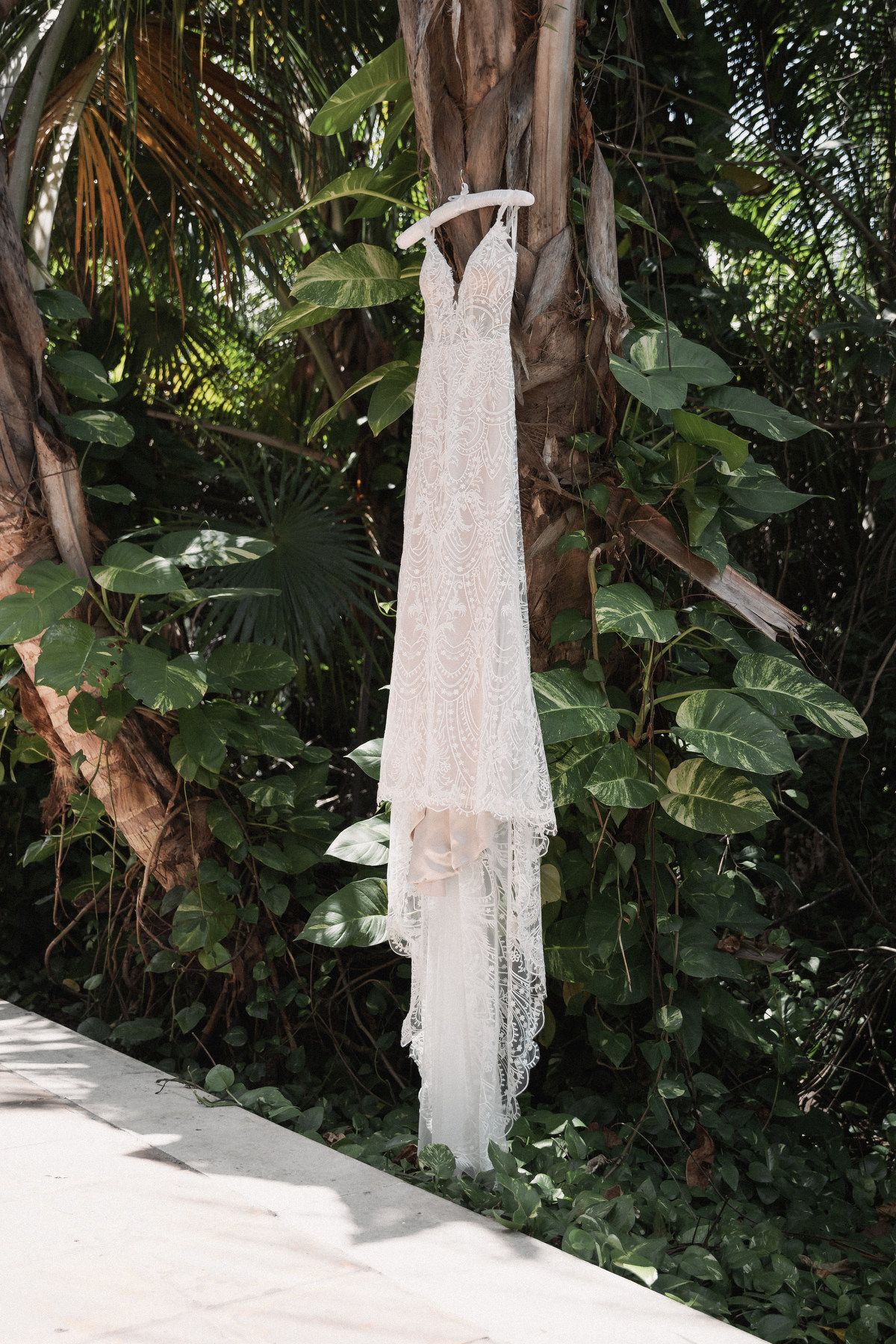 Elegant lace wedding dress hanging on a tropical tree surrounded by lush green foliage.