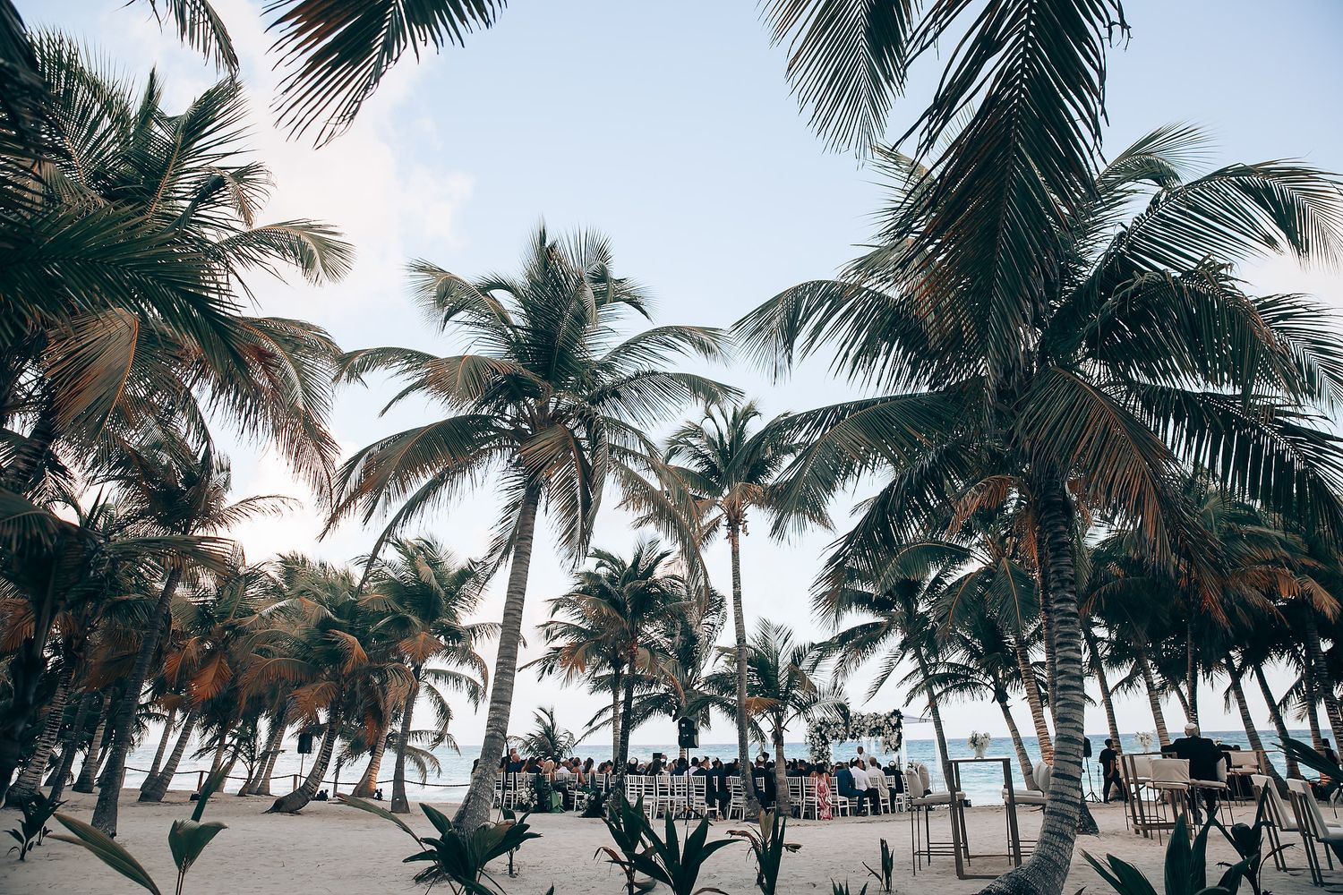 Scenic beach landscape with tall palm trees swaying against a bright sky.