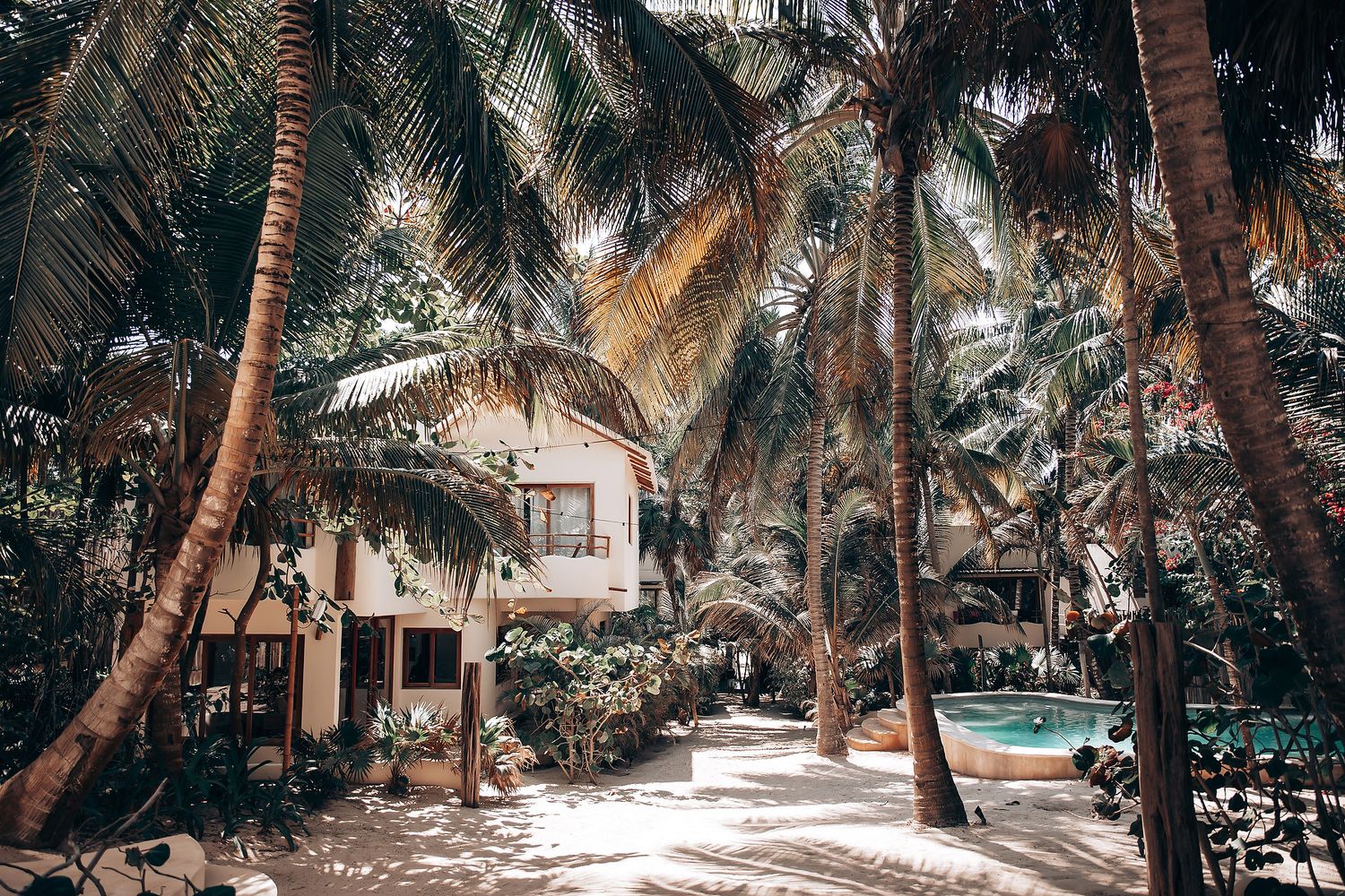 Palm trees line a tropical beach pathway with dappled sunlight filtering through the fronds.