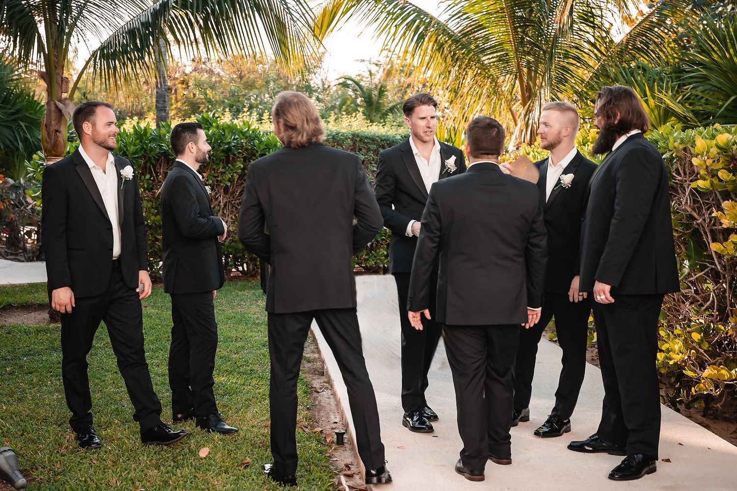 Wedding guests mingling on a patio with palm trees and tropical landscaping in the background.