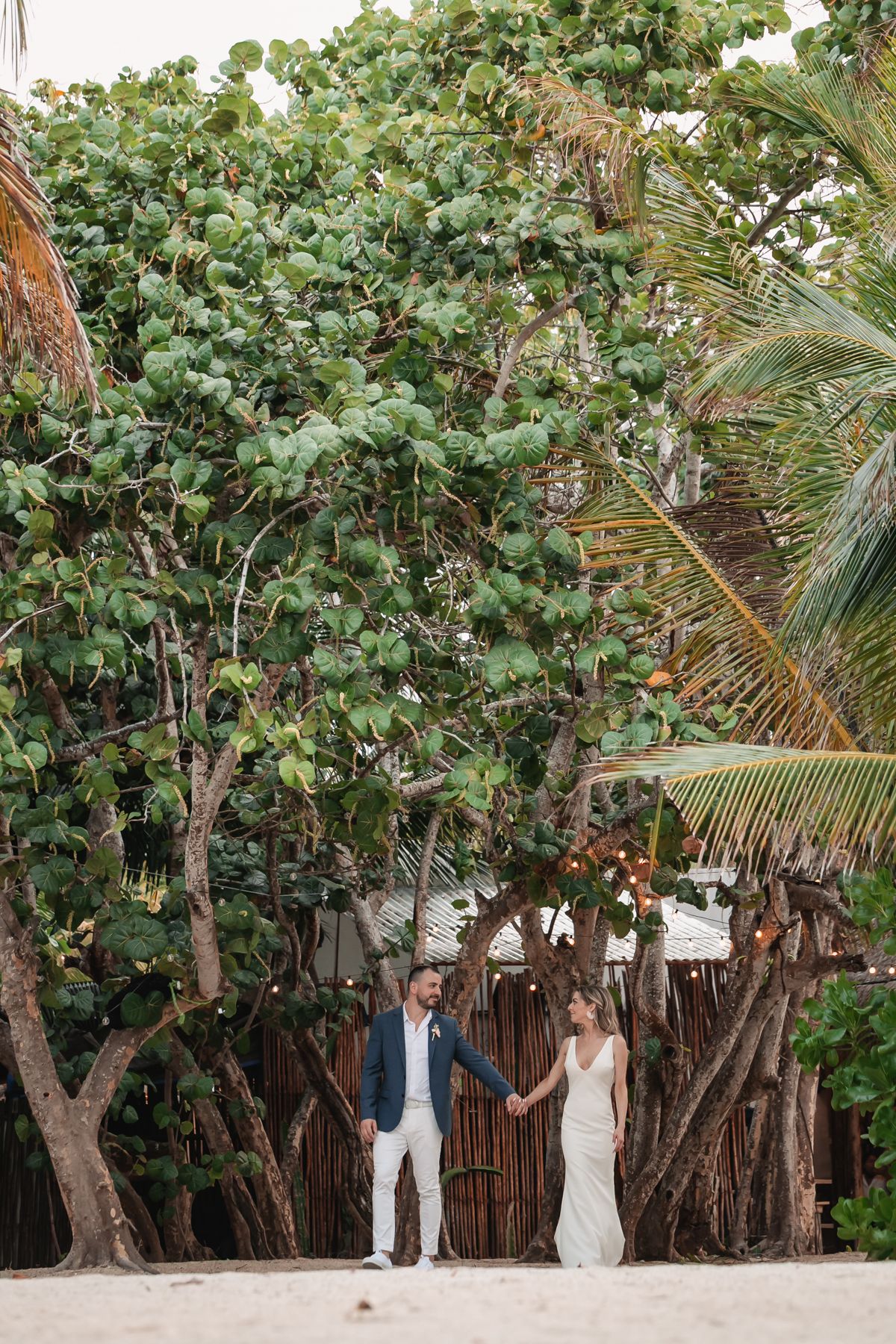 Newlywed couple holds hands walking on sandy beach surrounded by lush tropical trees and palm trees.