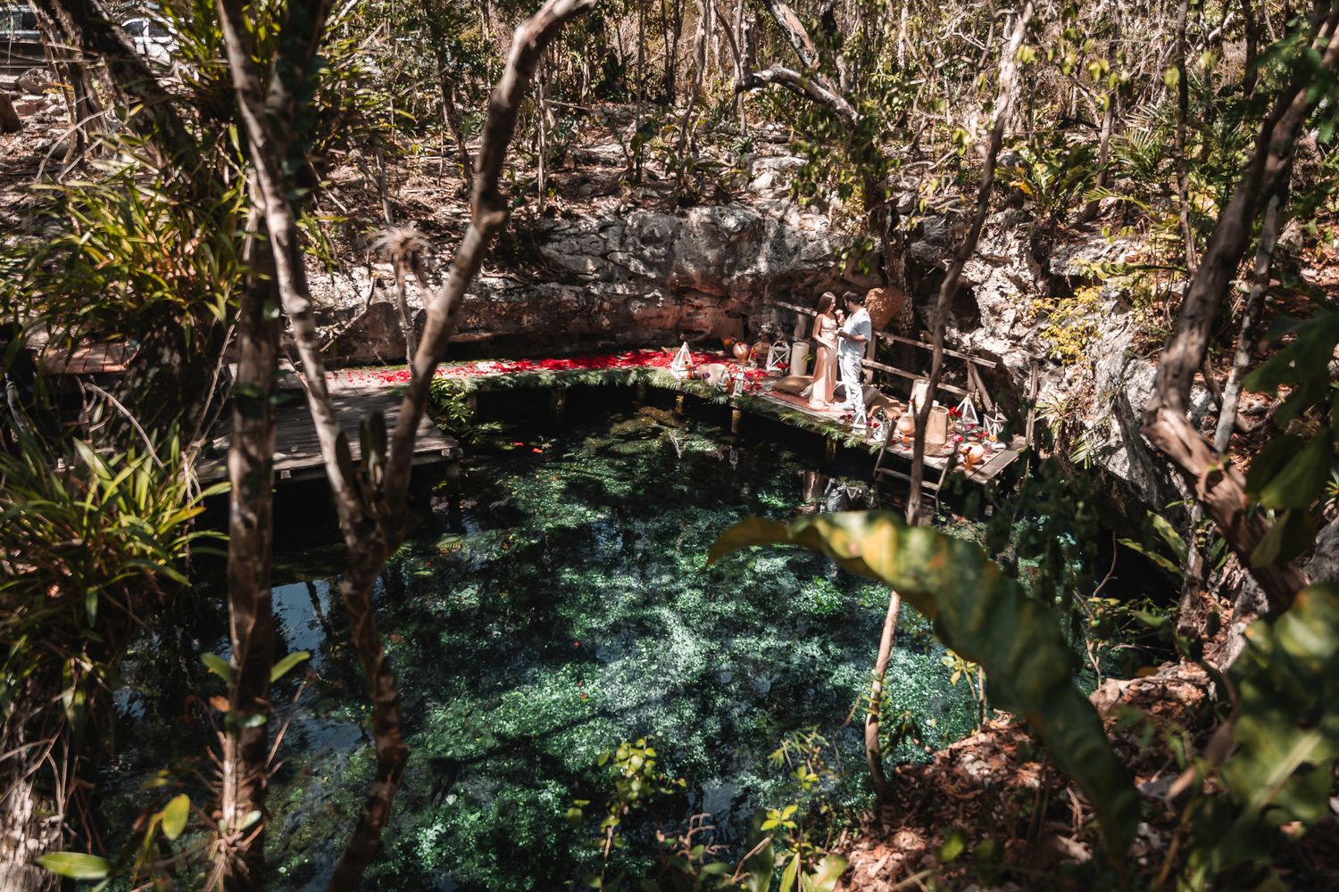 Aerial view of a lush cenote with crystal clear turquoise water surrounded by dense tropical jungle in Mexico.