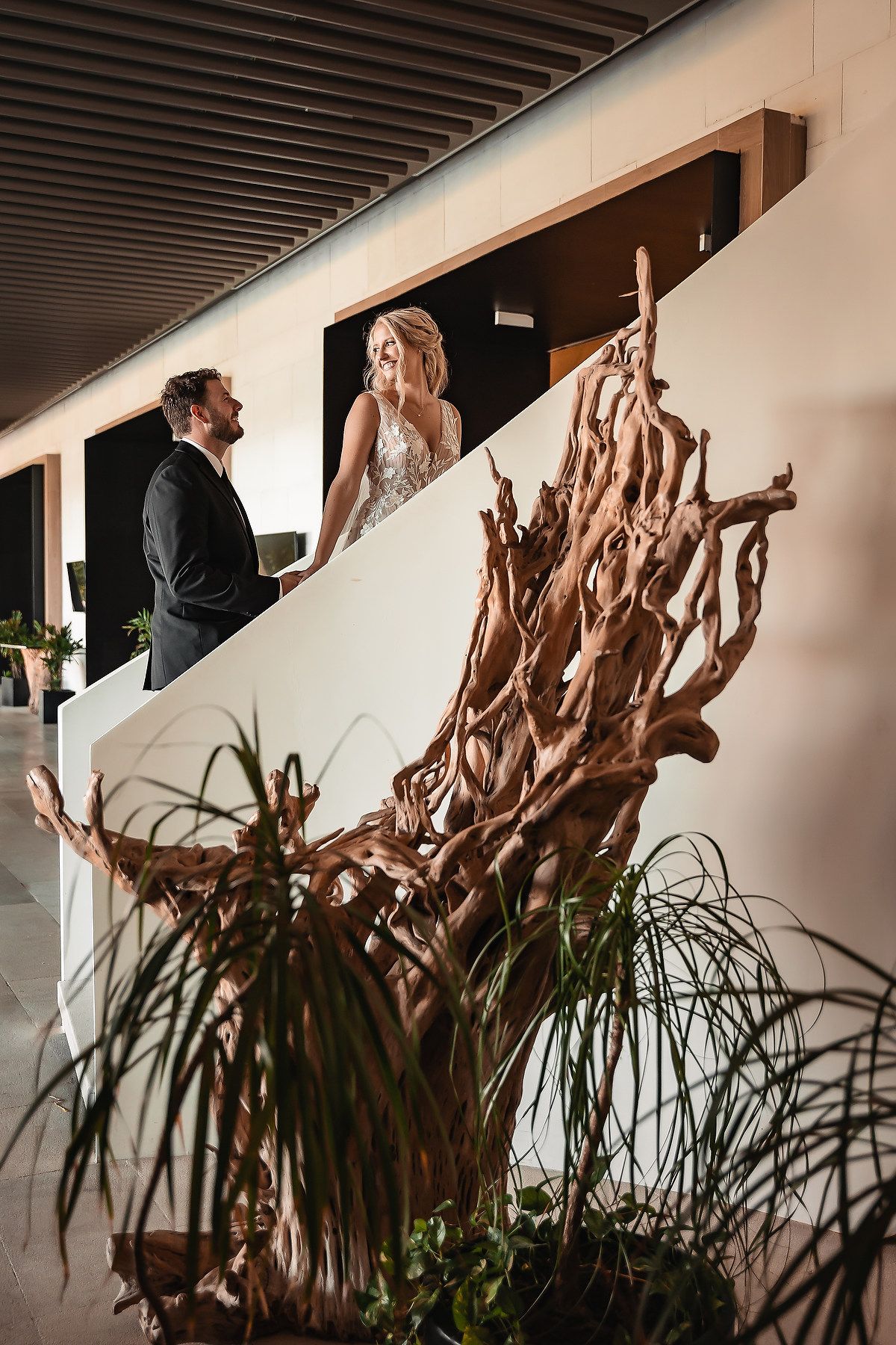 Artistic wall sculptures and plants create dramatic shadows in an interior hallway.