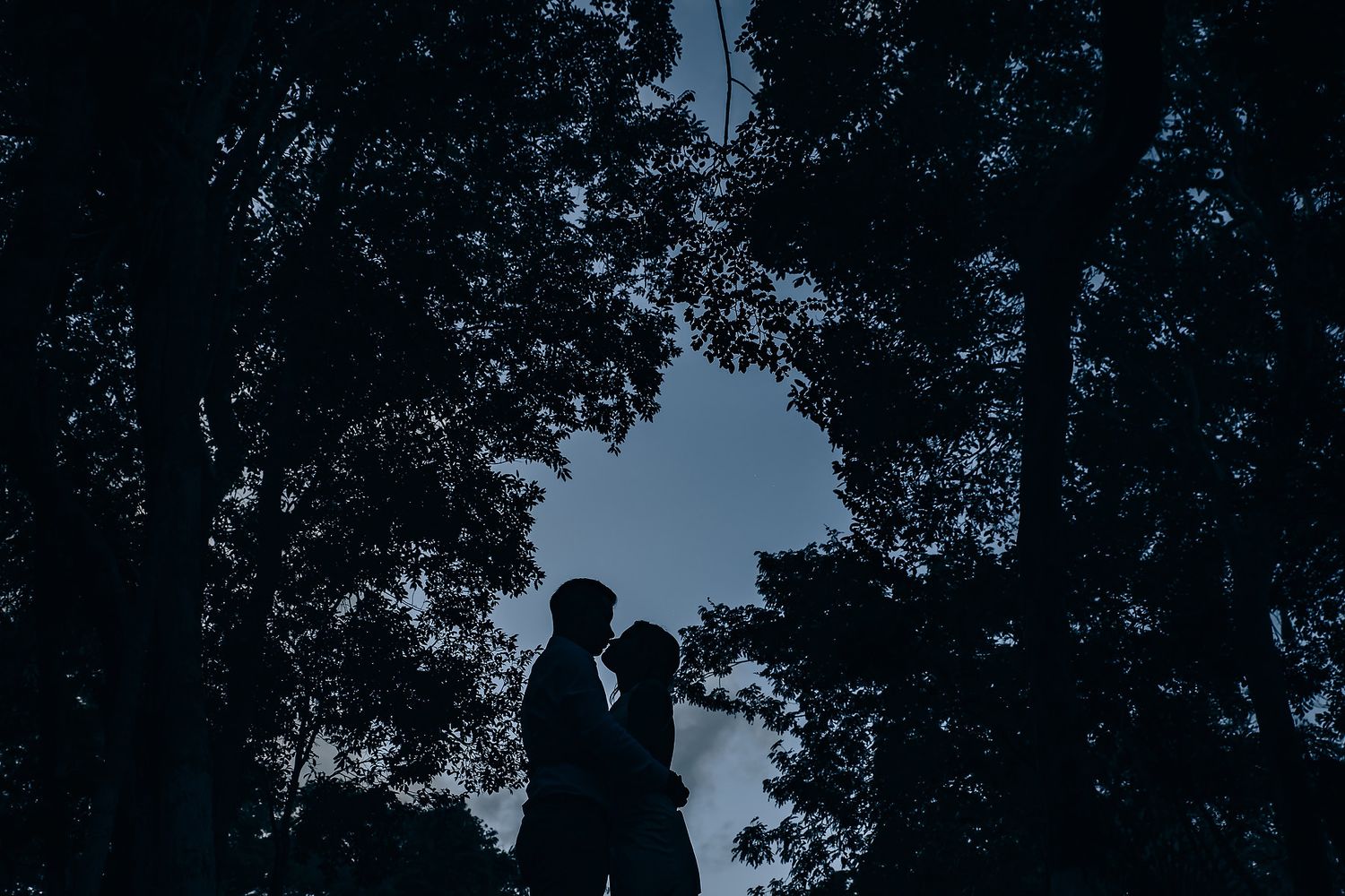 Silhouettes of a couple dancing against a dark wooded backdrop at dusk.