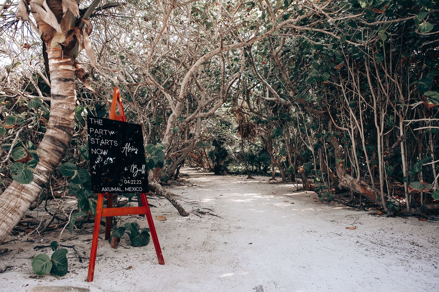 A serene winter forest path with snow-covered trees and a red chair visible in the distance.