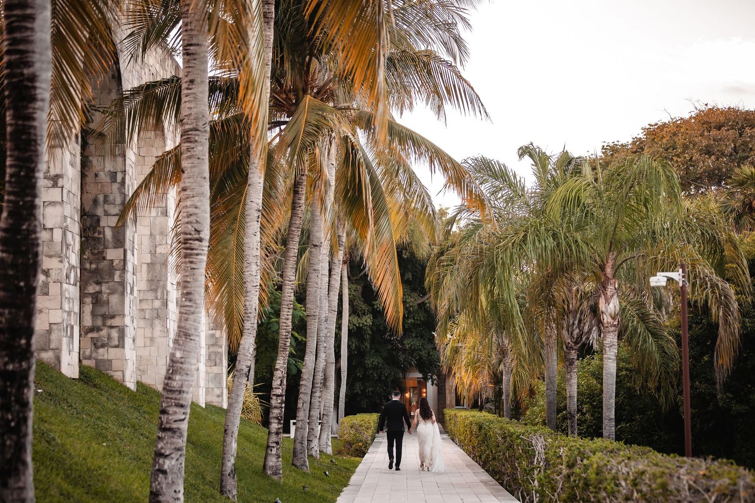 A palm tree-lined pathway creates a stunning tropical wedding venue setting.