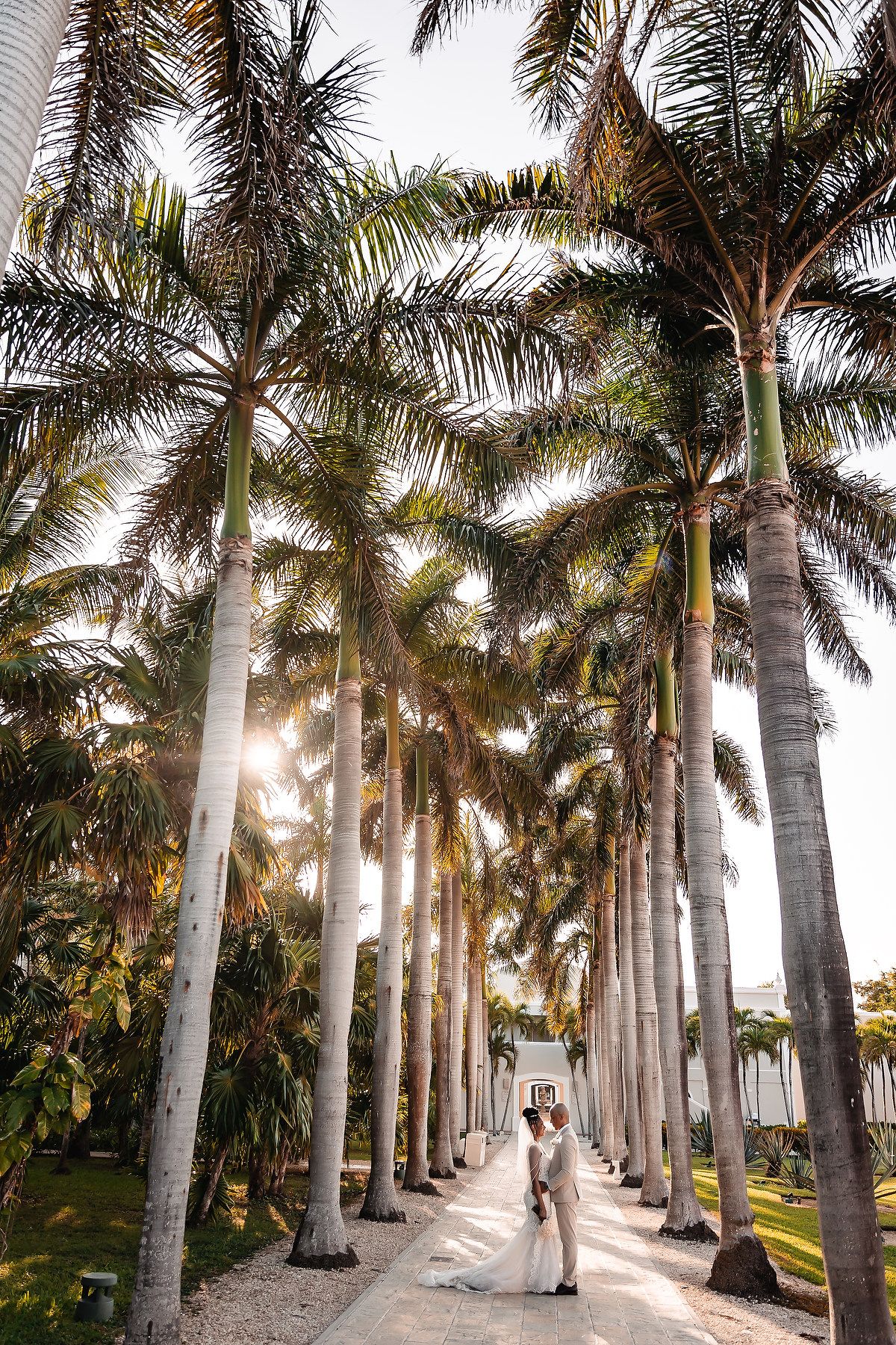 Sunlight filters through a majestic row of palm trees creating a dreamy wedding atmosphere.