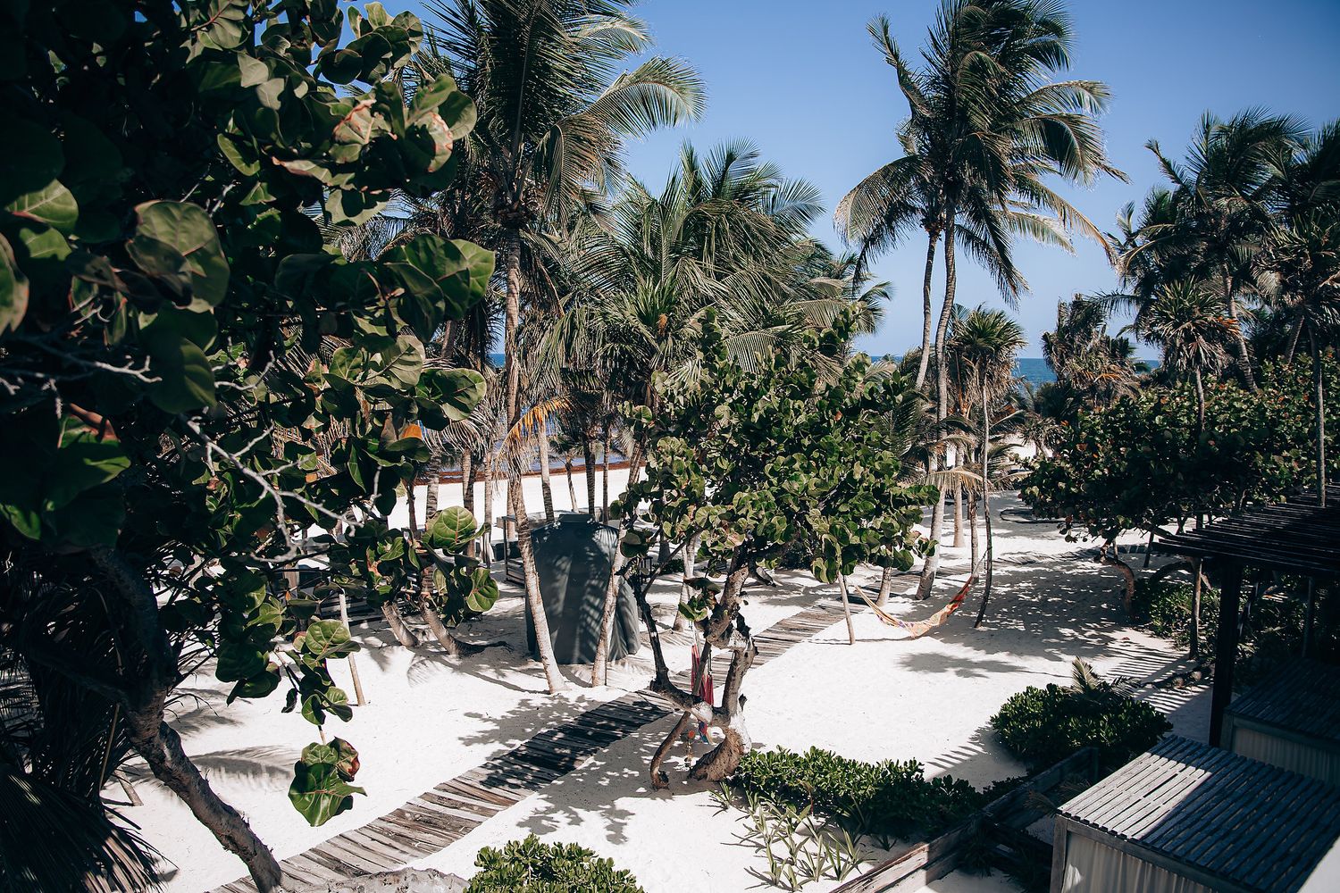 Tropical beach landscape with swaying palm trees and white sandy shoreline under bright blue skies.