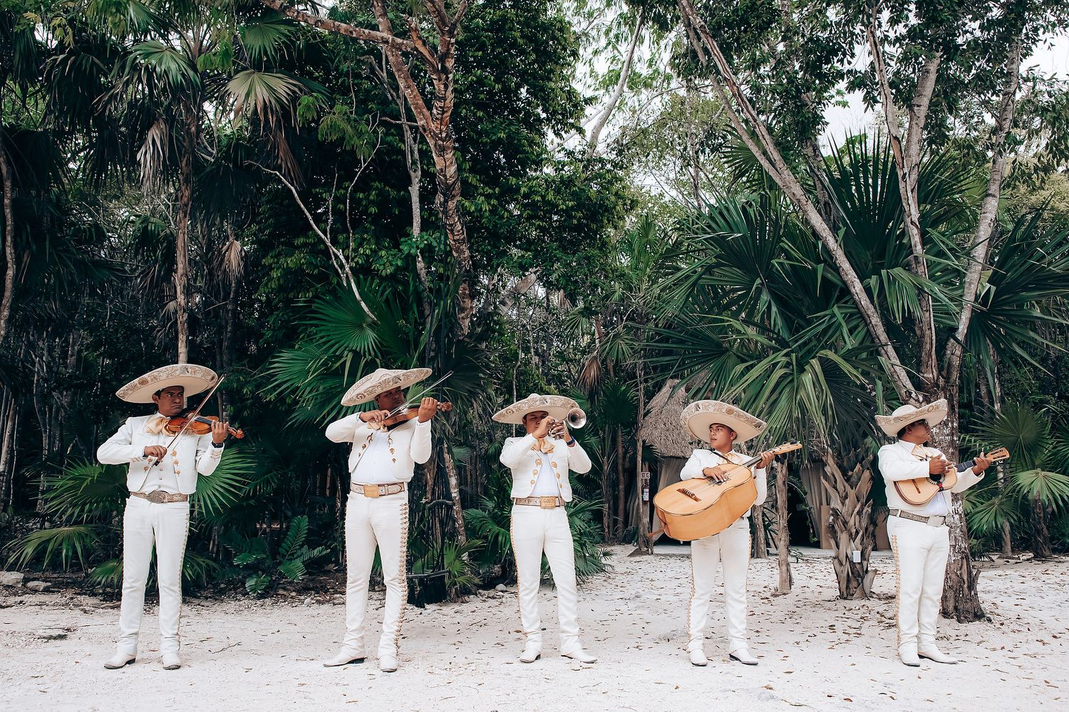 A mariachi band in white uniforms performs in a lush tropical garden setting.