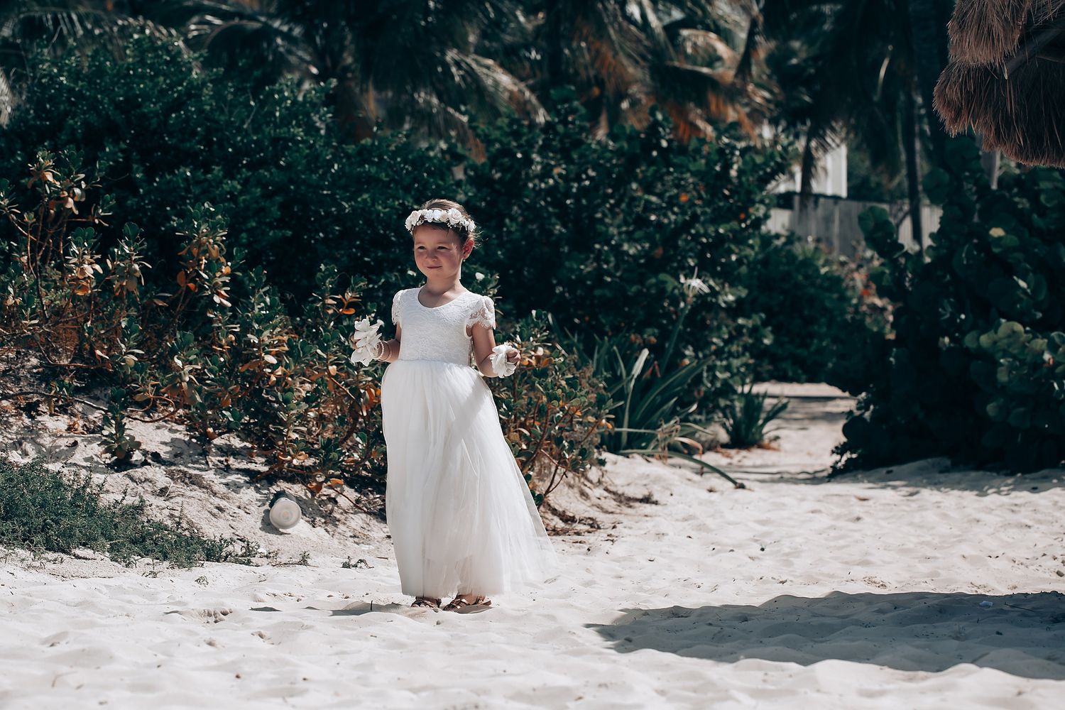 A beach wedding scene with palm trees and white decor along a sandy pathway.
