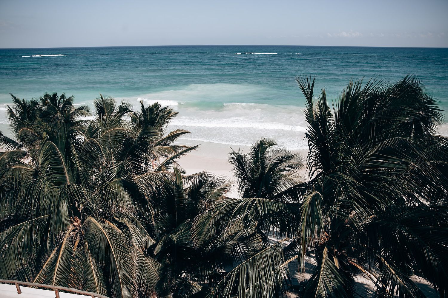 Tropical beach landscape with swaying palm trees against turquoise ocean waves and white sandy shoreline.