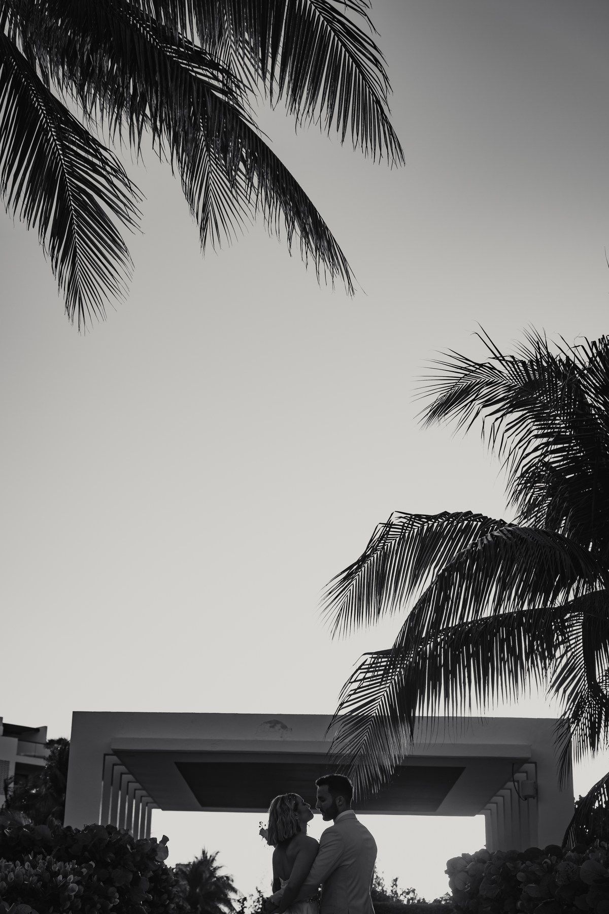 Silhouette of bride and groom embracing under tropical palm trees in a romantic black and white photo.