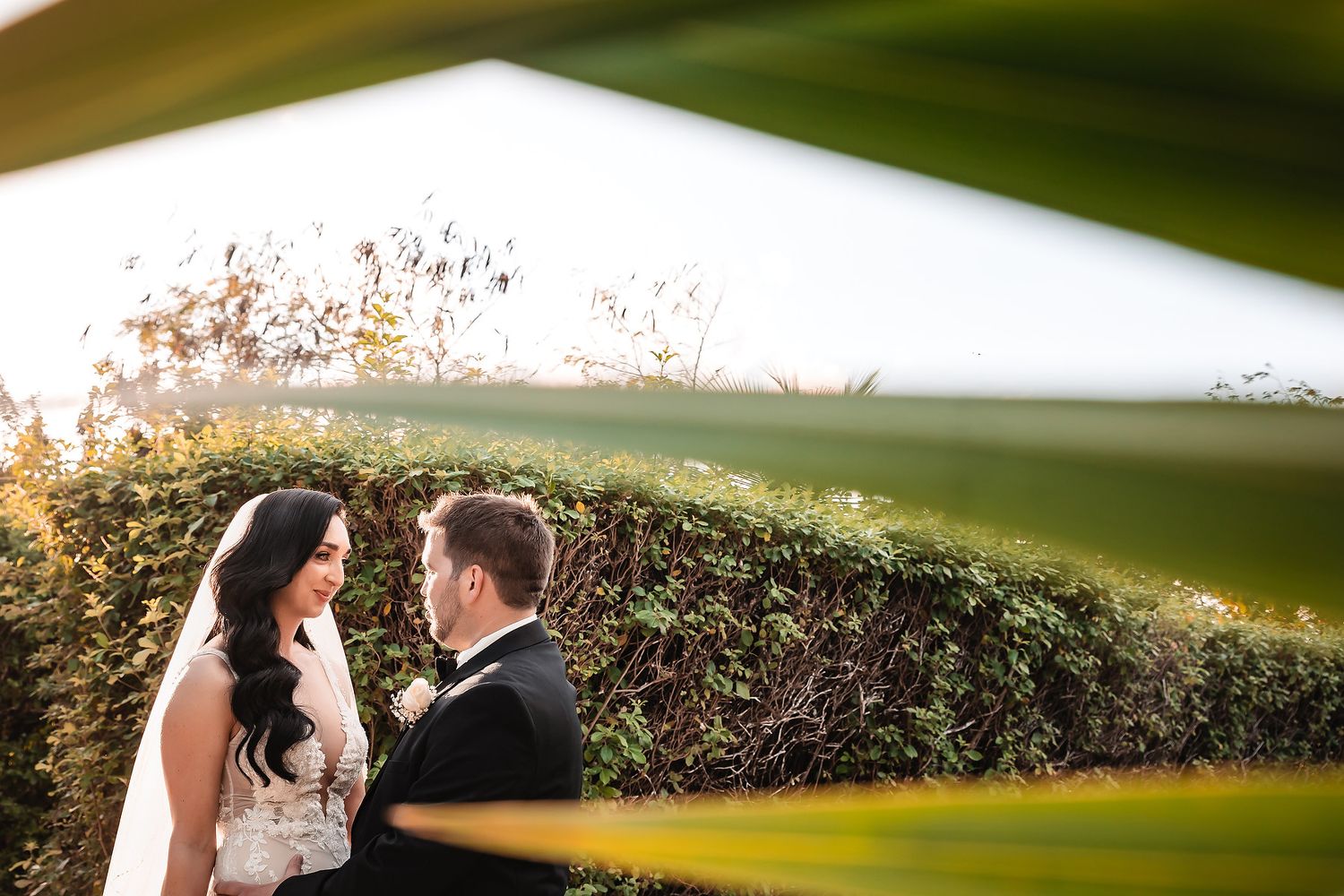 Bride and groom share a romantic moment framed by lush green hedges and golden sunlight.