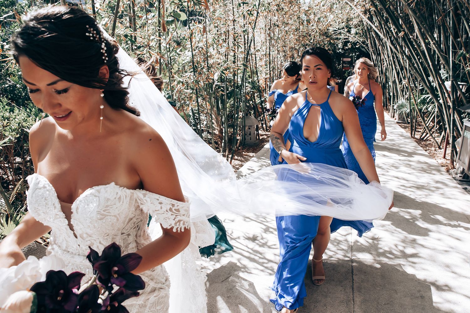 Wedding celebration with guests in blue and white attire dancing on a sunlit outdoor path.