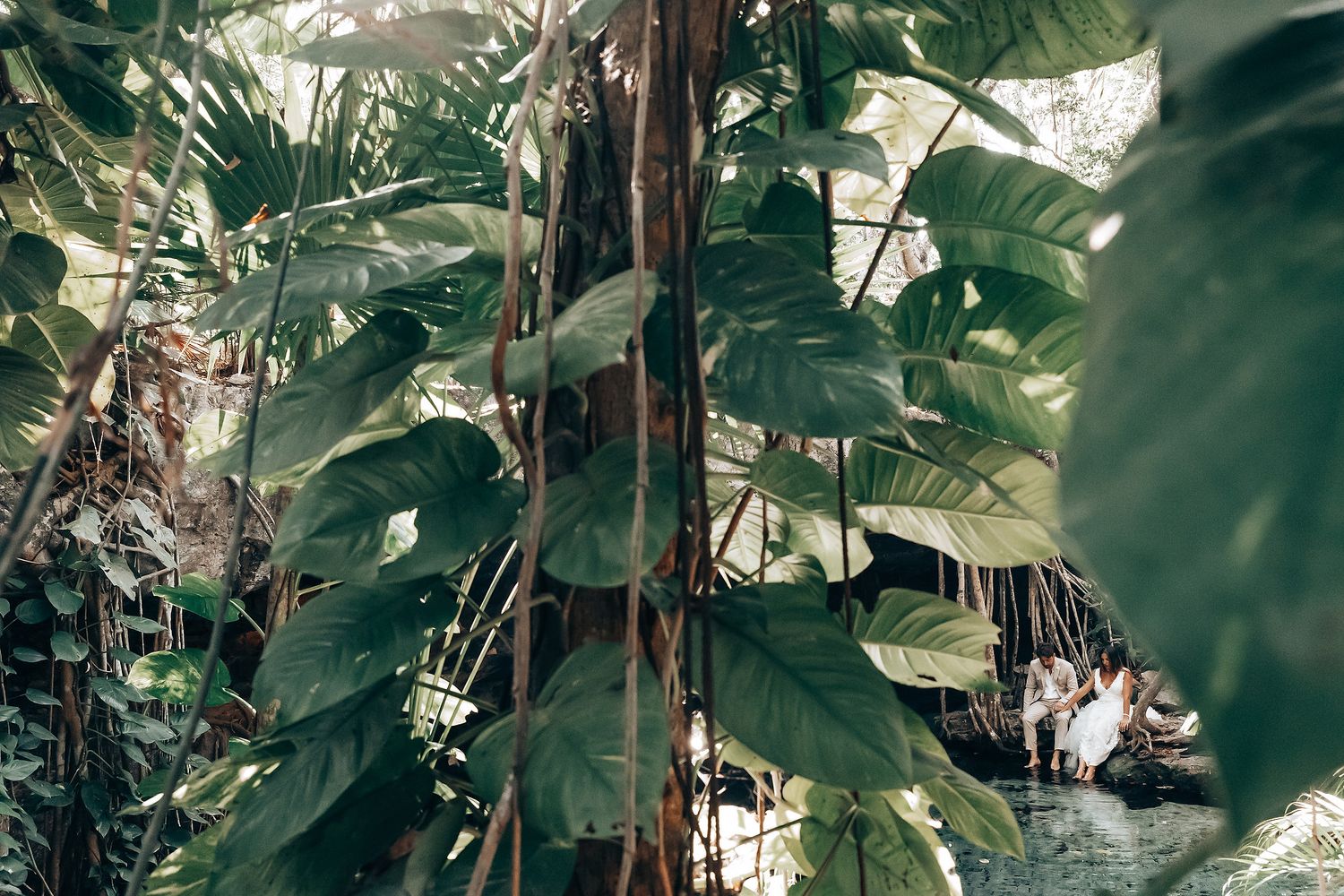 Tropical garden foliage creates a natural green backdrop with filtered sunlight.