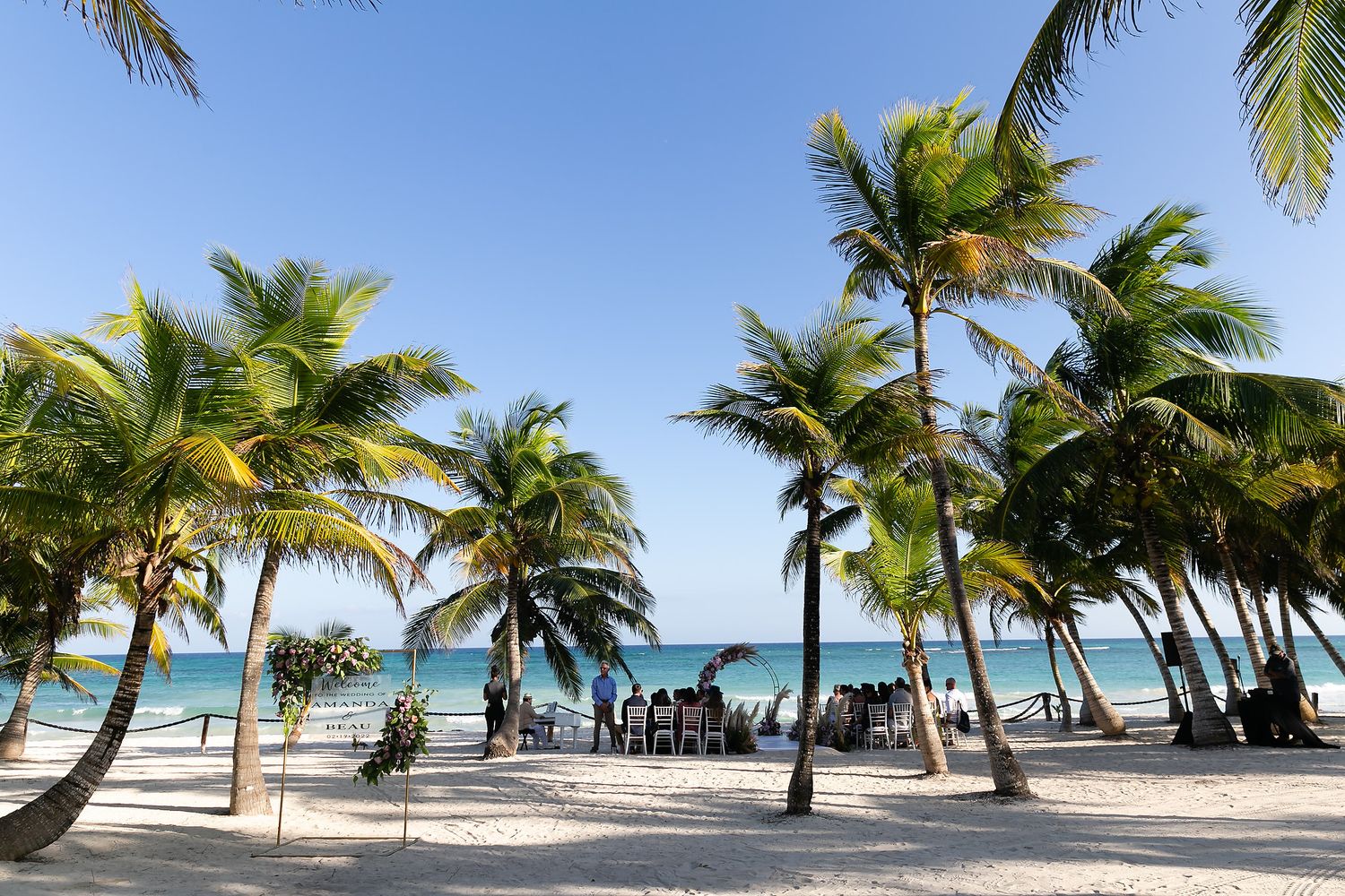 Palm trees line a pristine white sand beach with turquoise waters and clear blue skies in a tropical paradise.