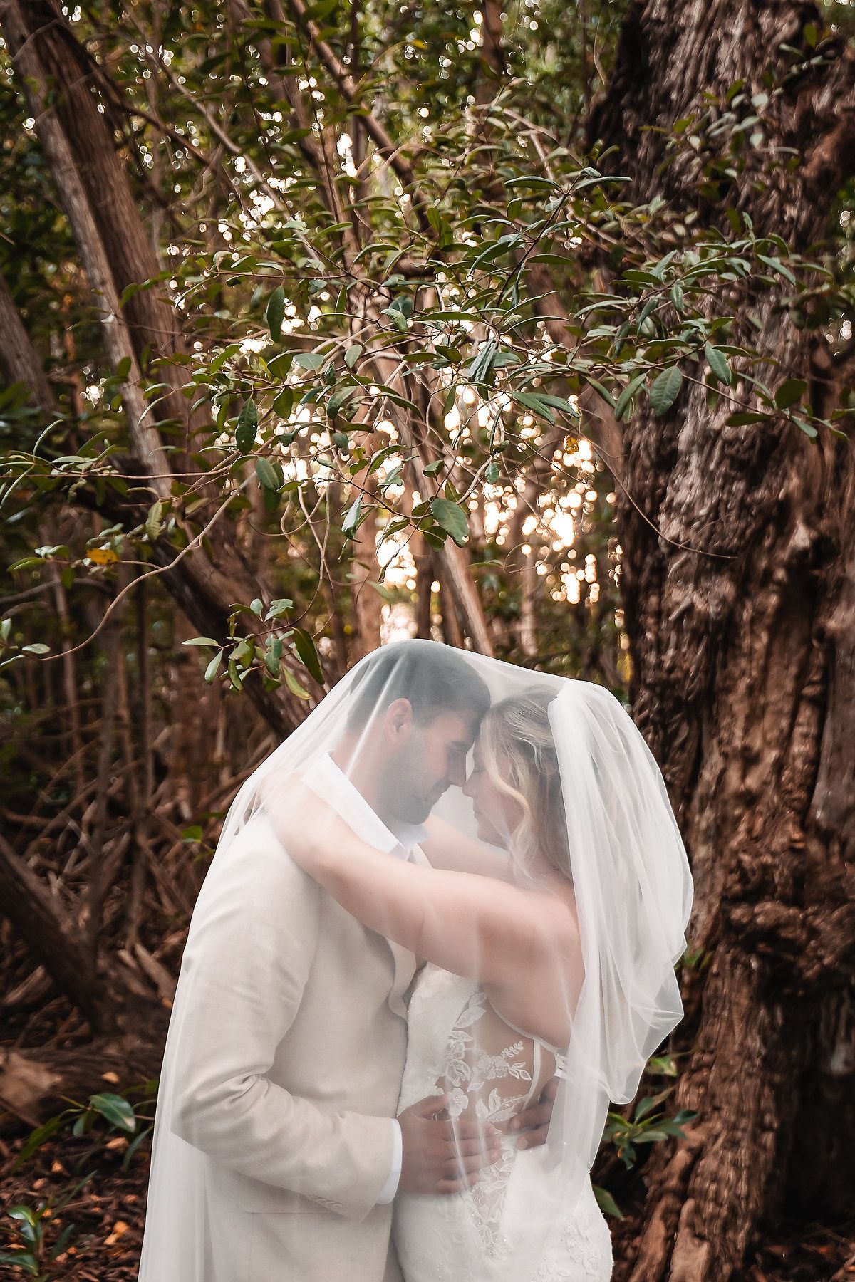 Bride and groom sharing a romantic kiss under a wedding veil in a lush forest setting.