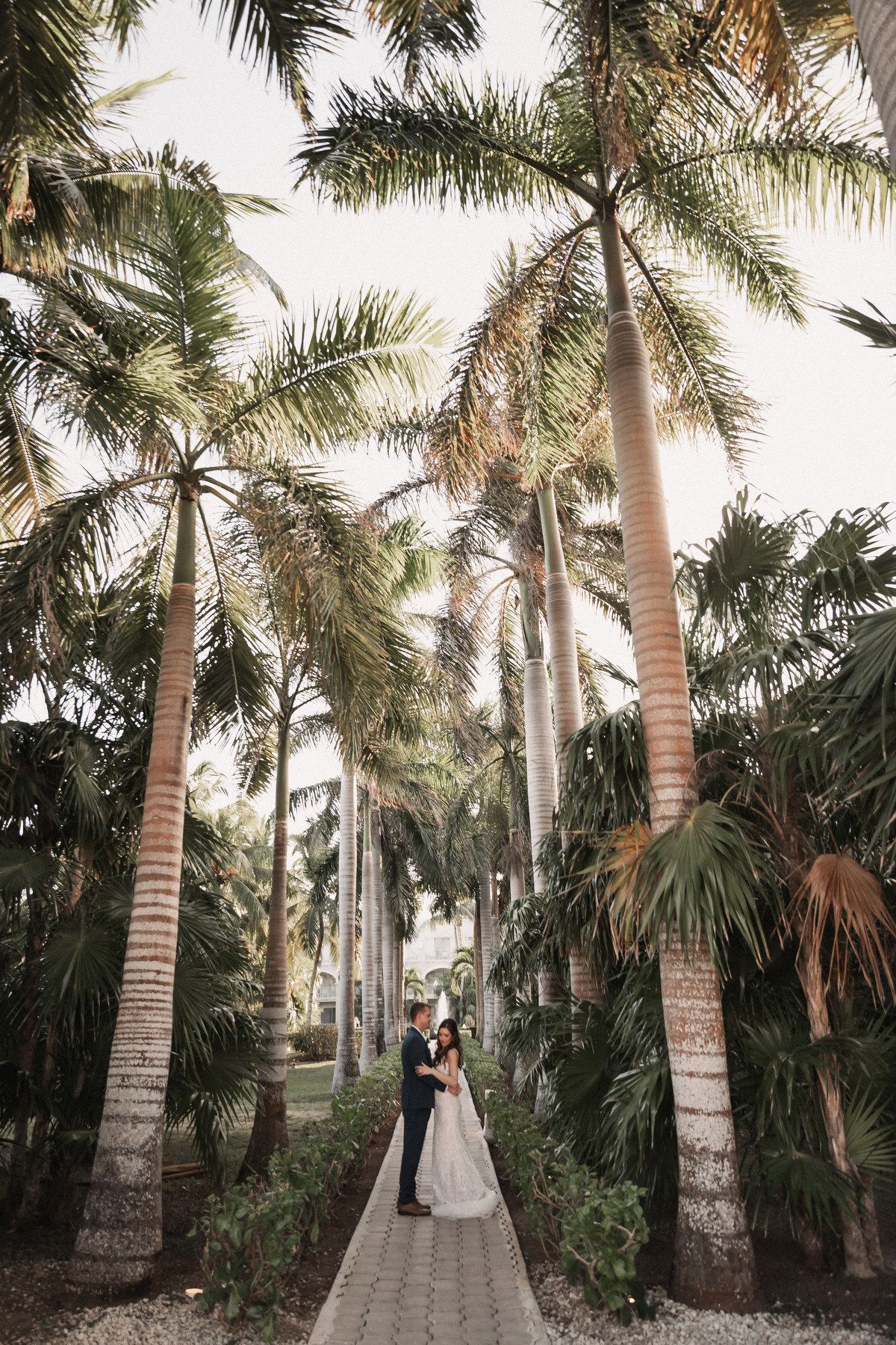Bride and groom embrace on a pathway surrounded by tall tropical palm trees after wedding ceremony.