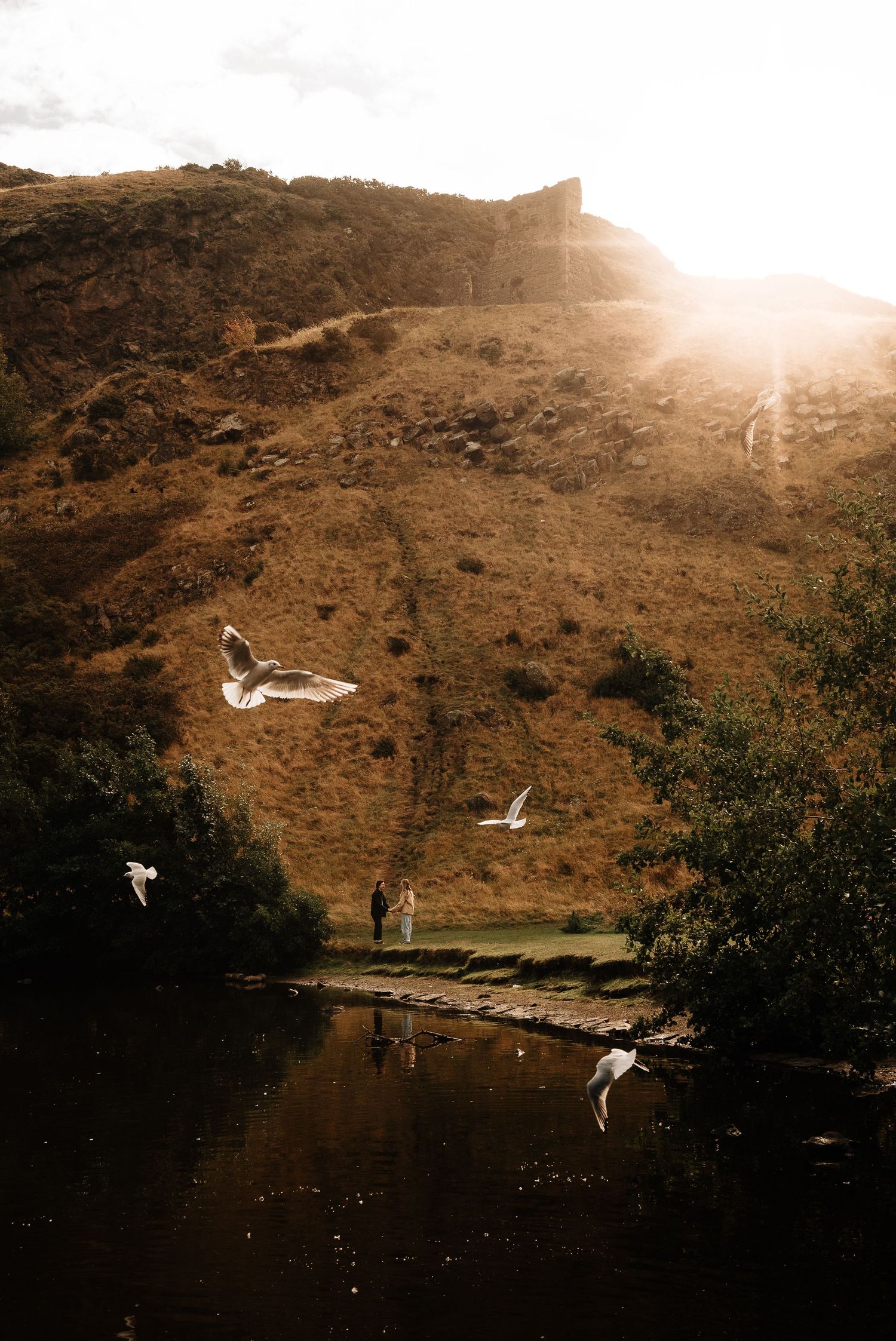 Seagulls flying over a serene lake with mountains and sunlight in the background.
