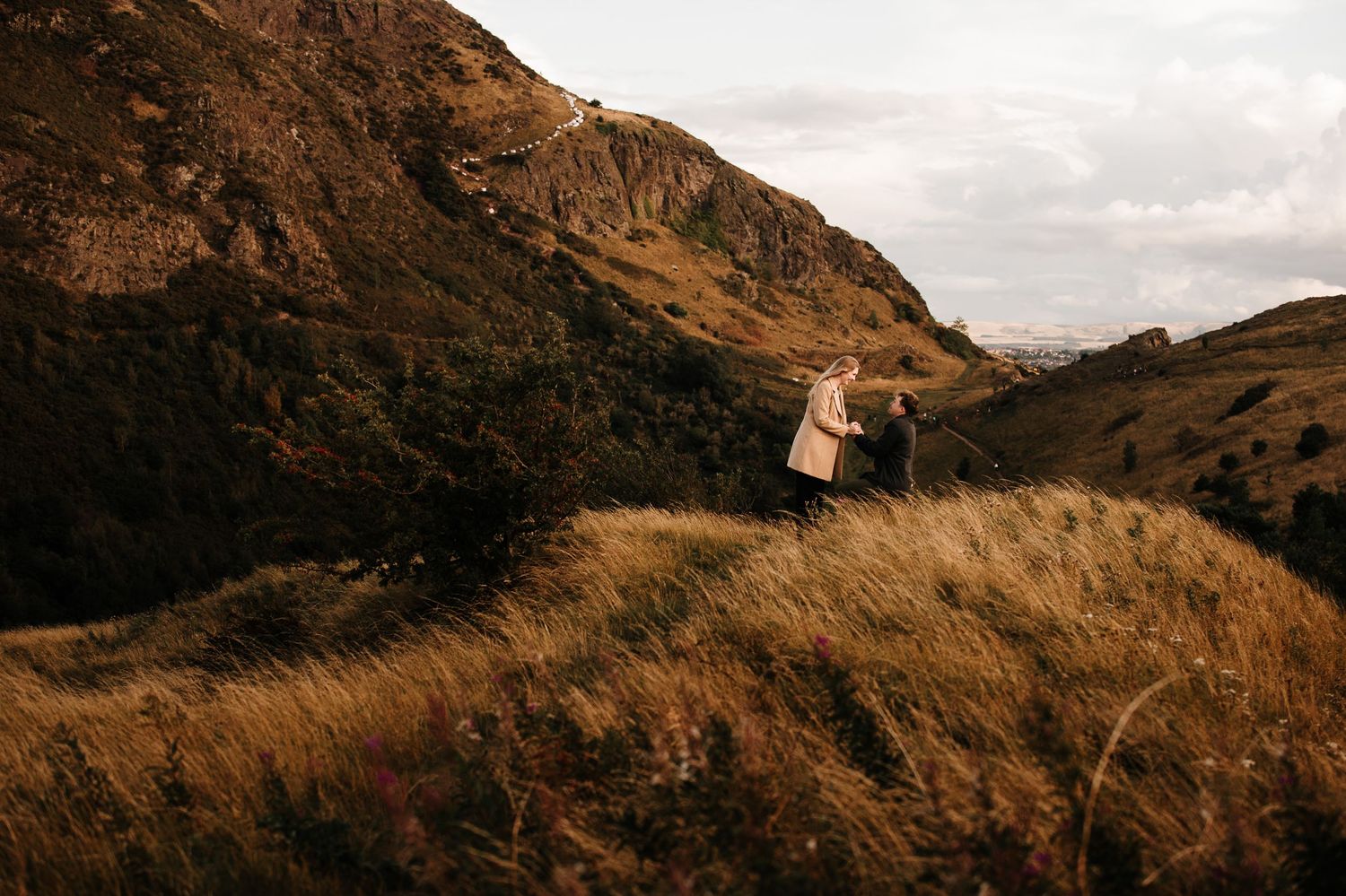 Golden grasses sway against rugged mountain slopes at sunset in a scenic landscape.