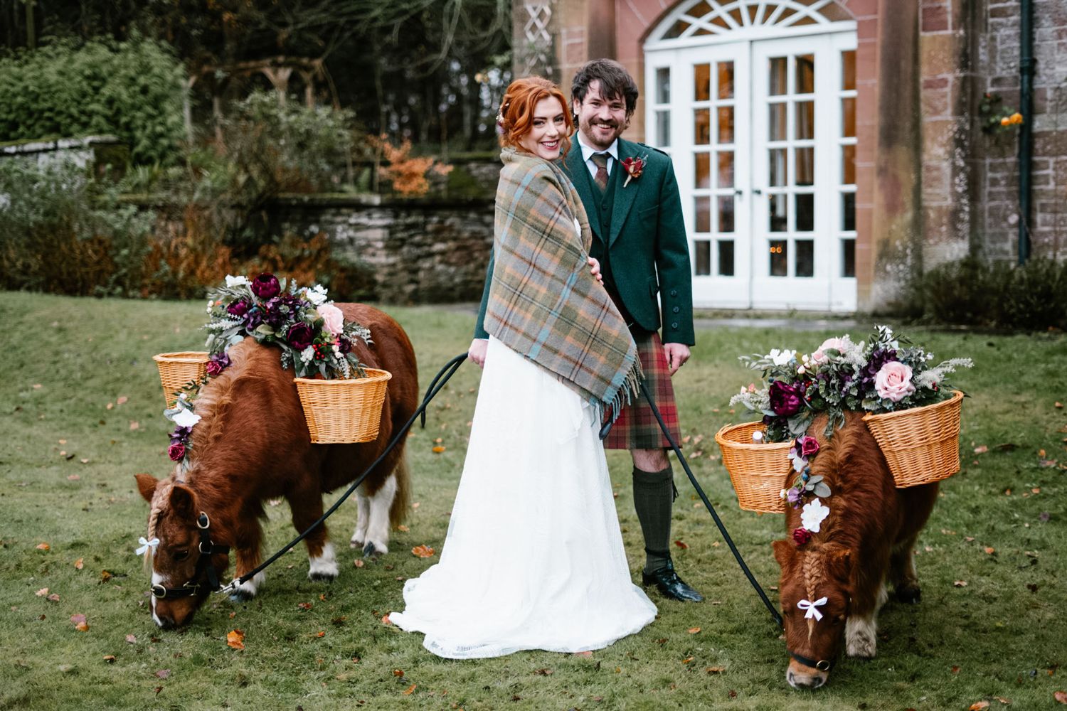 Wedding couple posing with Highland cows decorated with flowers in a pastoral setting.