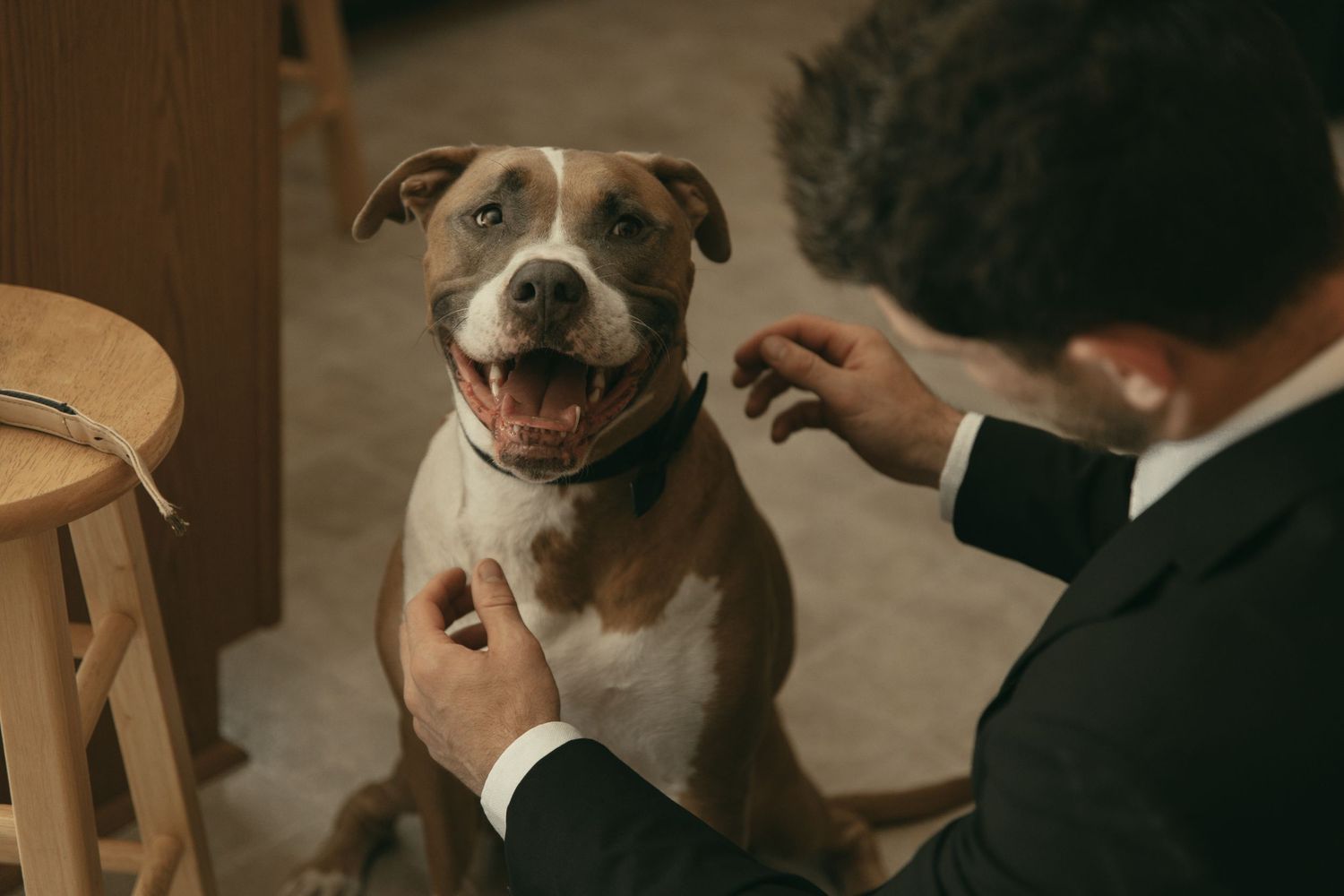 Happy dog on wedding day in Tallmadge Ohio by Gypsy Lens Photography. Moody, vintage, backyard wedding, documentary wedding photographer.